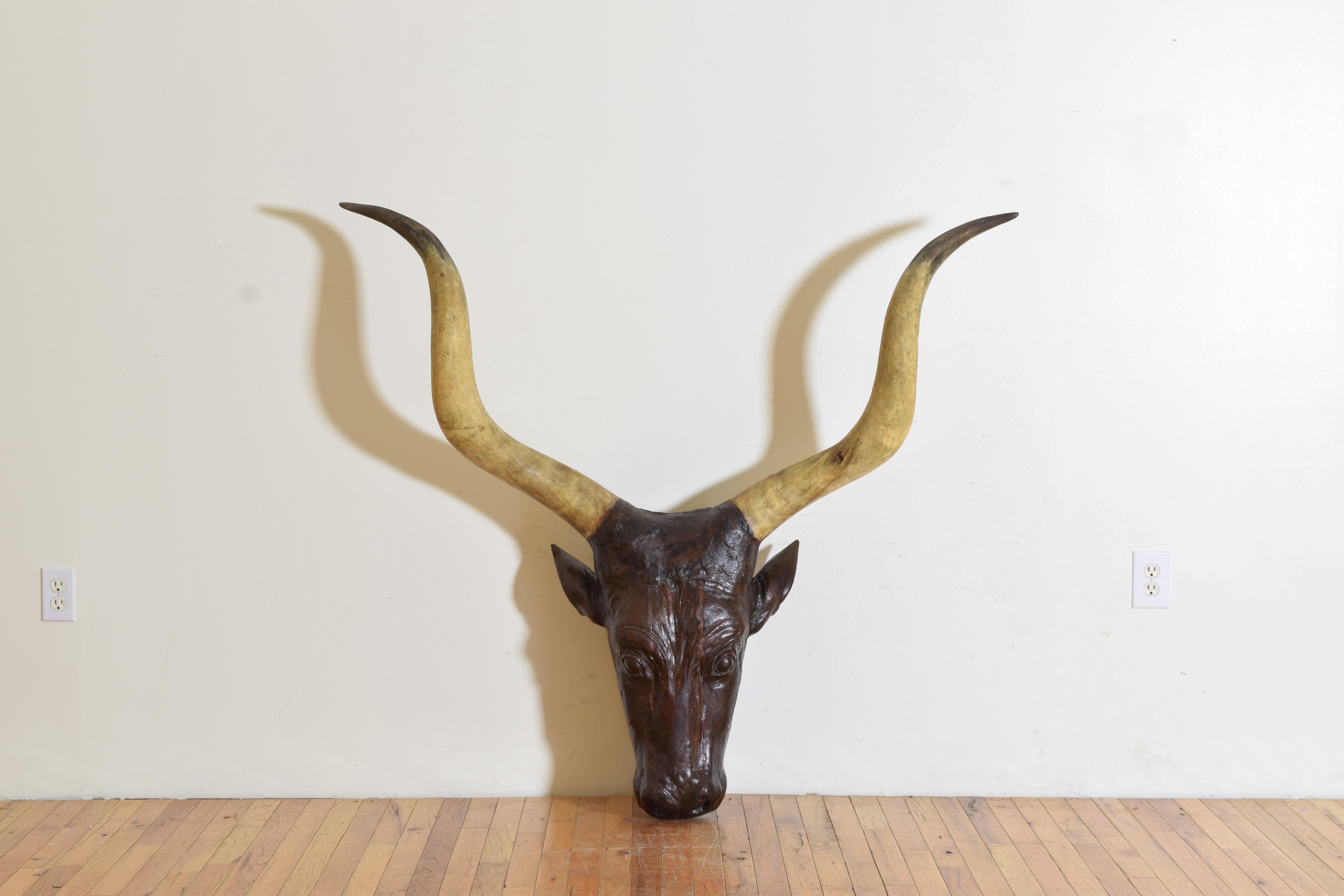 The size of this carved head and the detail of the carving accompanied by the size of the horns makes this wall sculpture remarkable, likely made for a boucherie as an advertisement, the horns joined to the head by a wood putty and colored to match,