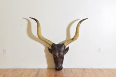 French Significantly Large & Expertly Carved Walnut Cow Head, 2nd half 19th cen.