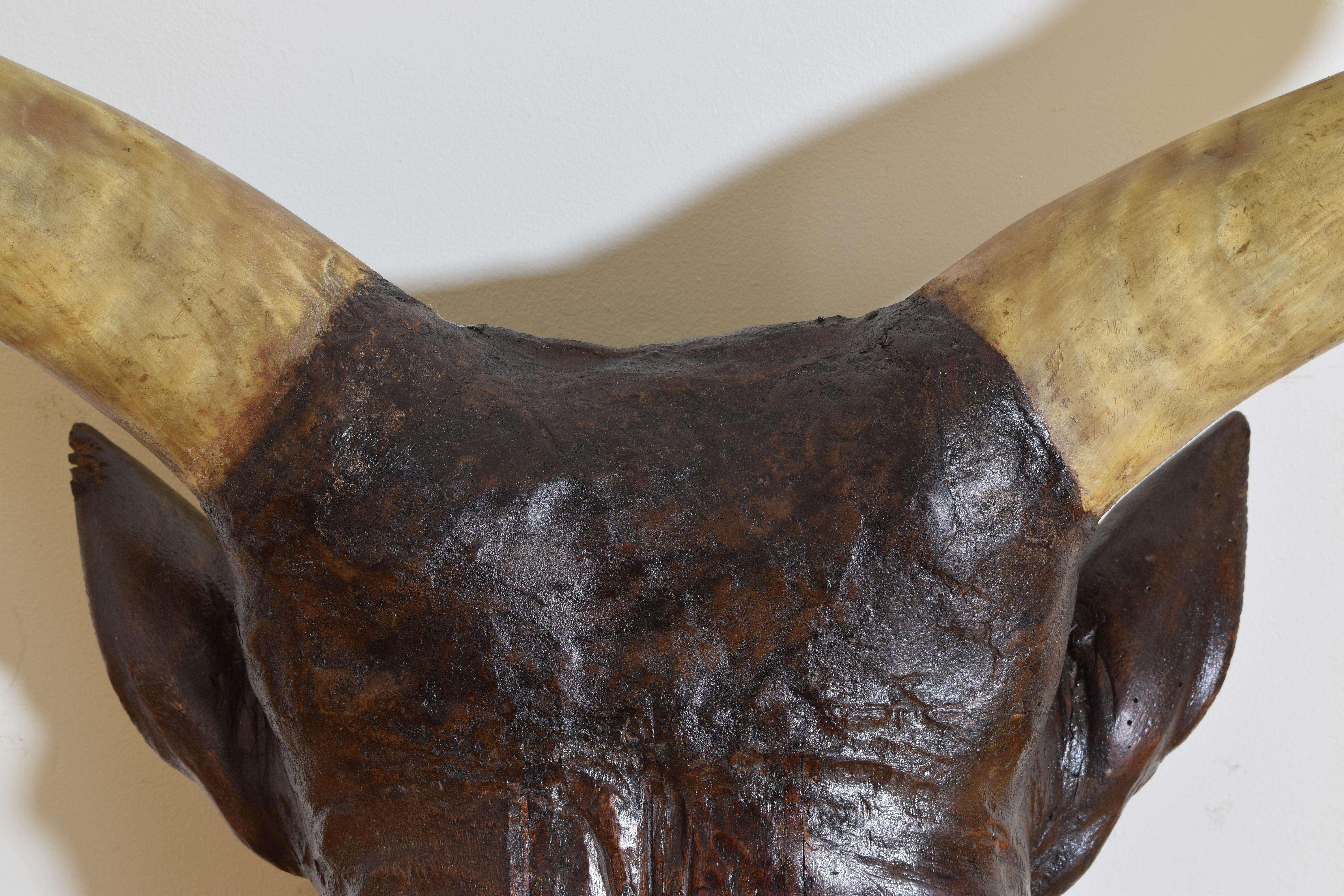 Metà XIX secolo Testa di mucca francese in noce, significativamente grande e sapientemente intagliata, seconda metà del XIX secolo. in vendita