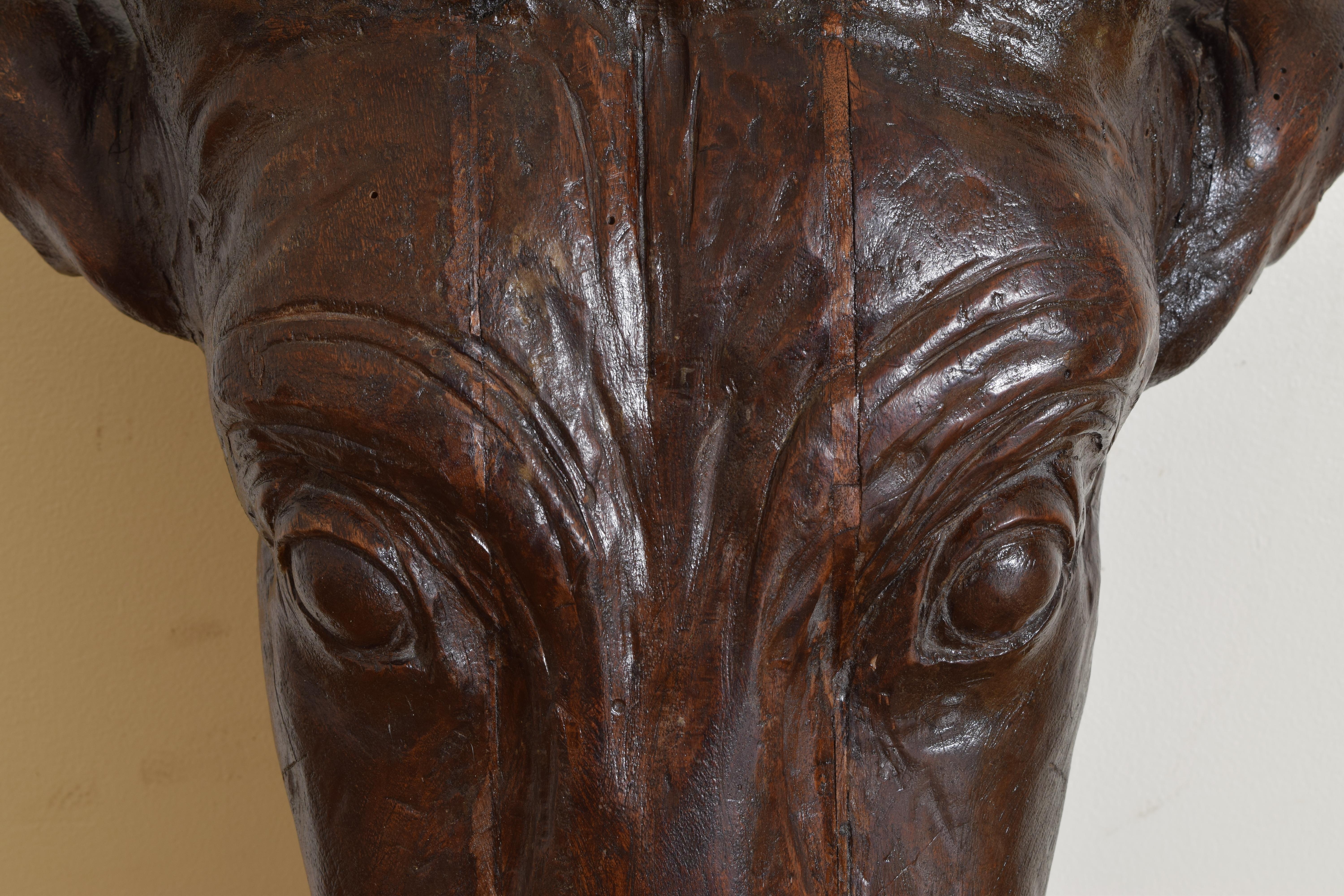 Französischer bedeutend großer und fachmännisch geschnitzter Kuhkopf aus Nussbaumholz, 2. Hälfte des 19. Jahrhunderts. im Angebot 3