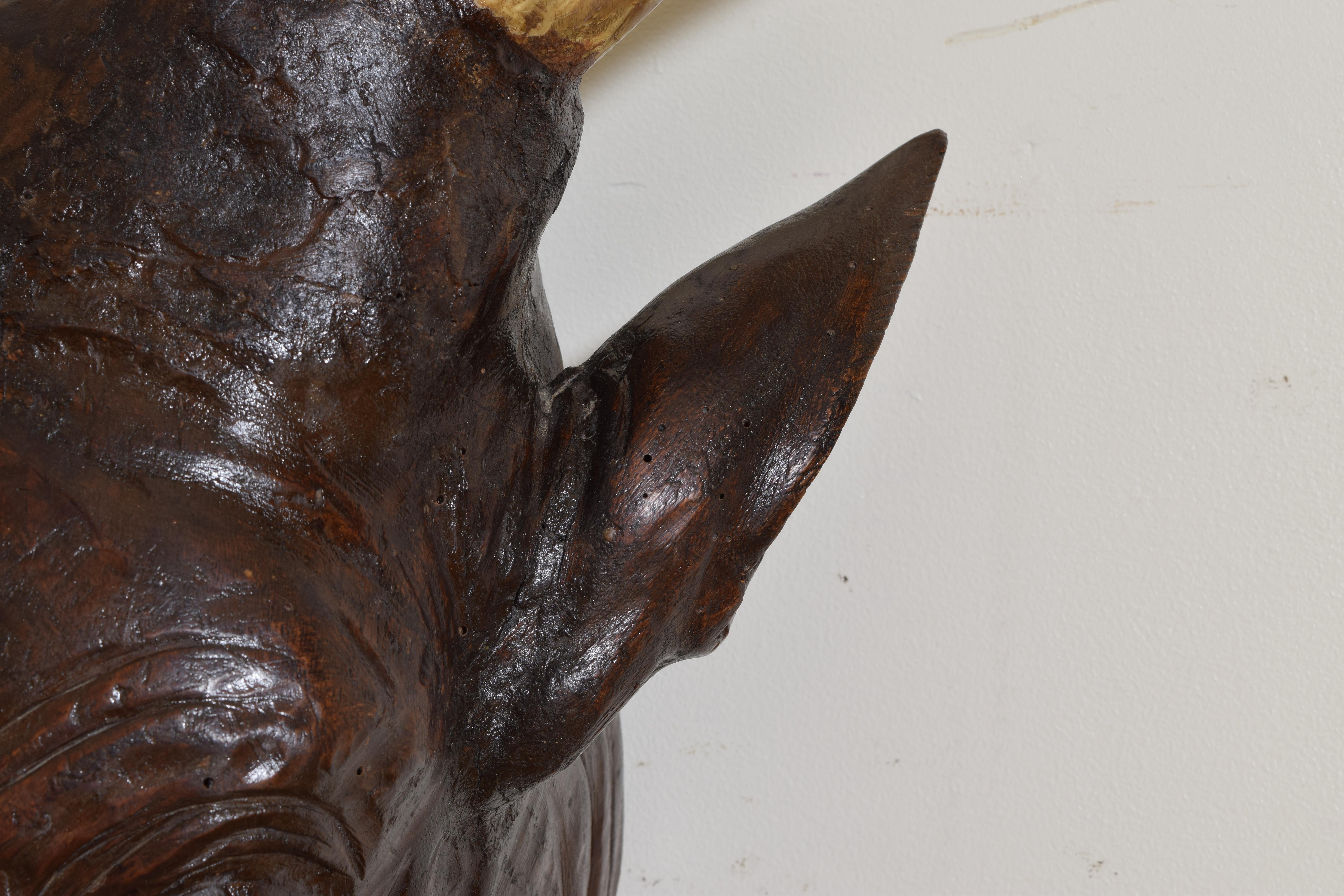 French Significantly Large & Expertly Carved Walnut Cow Head, 2nd half 19th cen. For Sale 4