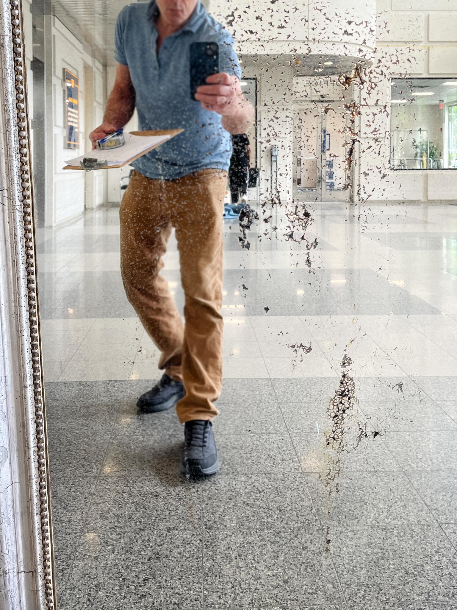 Français Miroir mural français en bois doré A Silver en vente