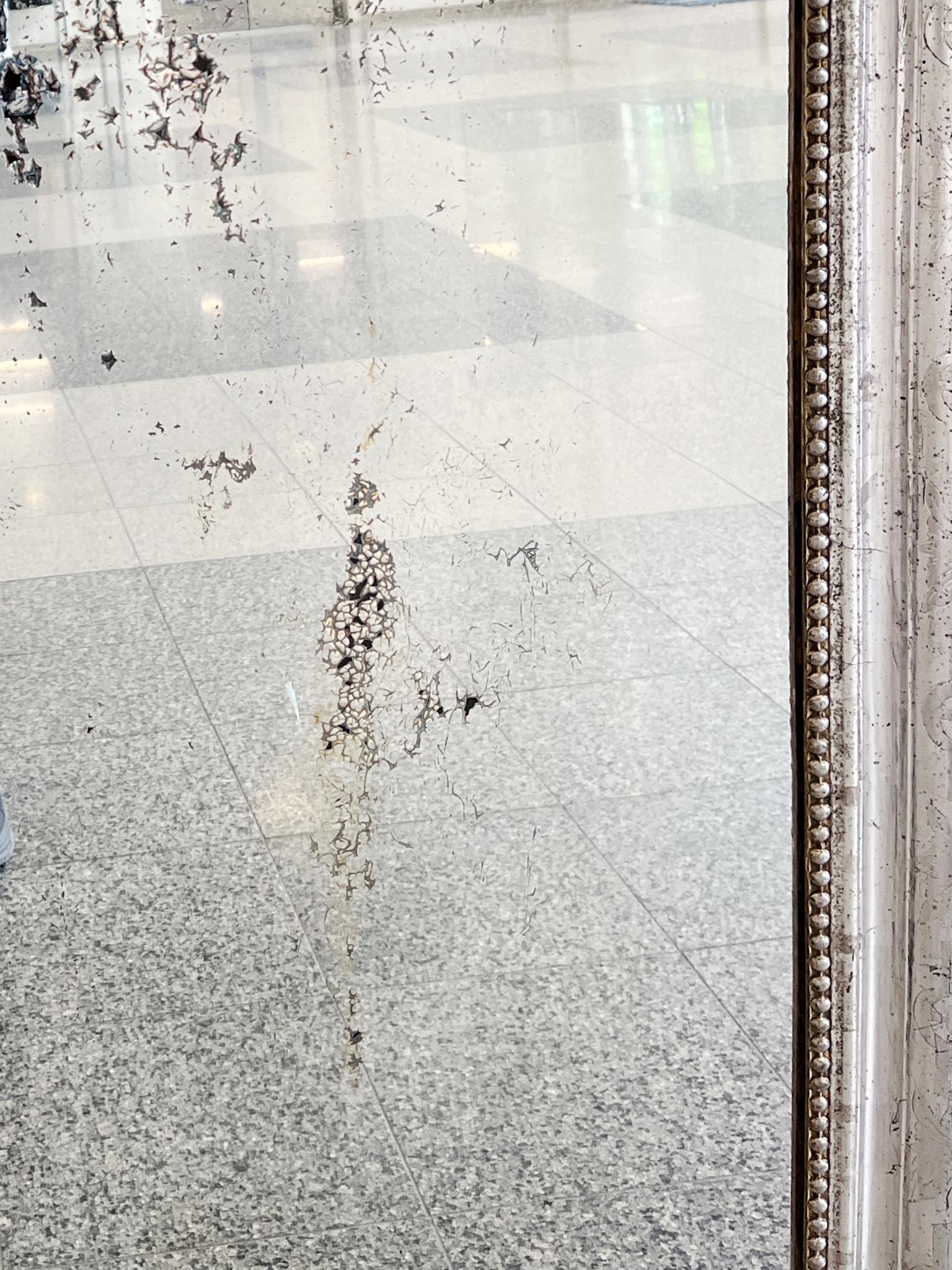 Miroir mural français en bois doré A Silver en vente 3