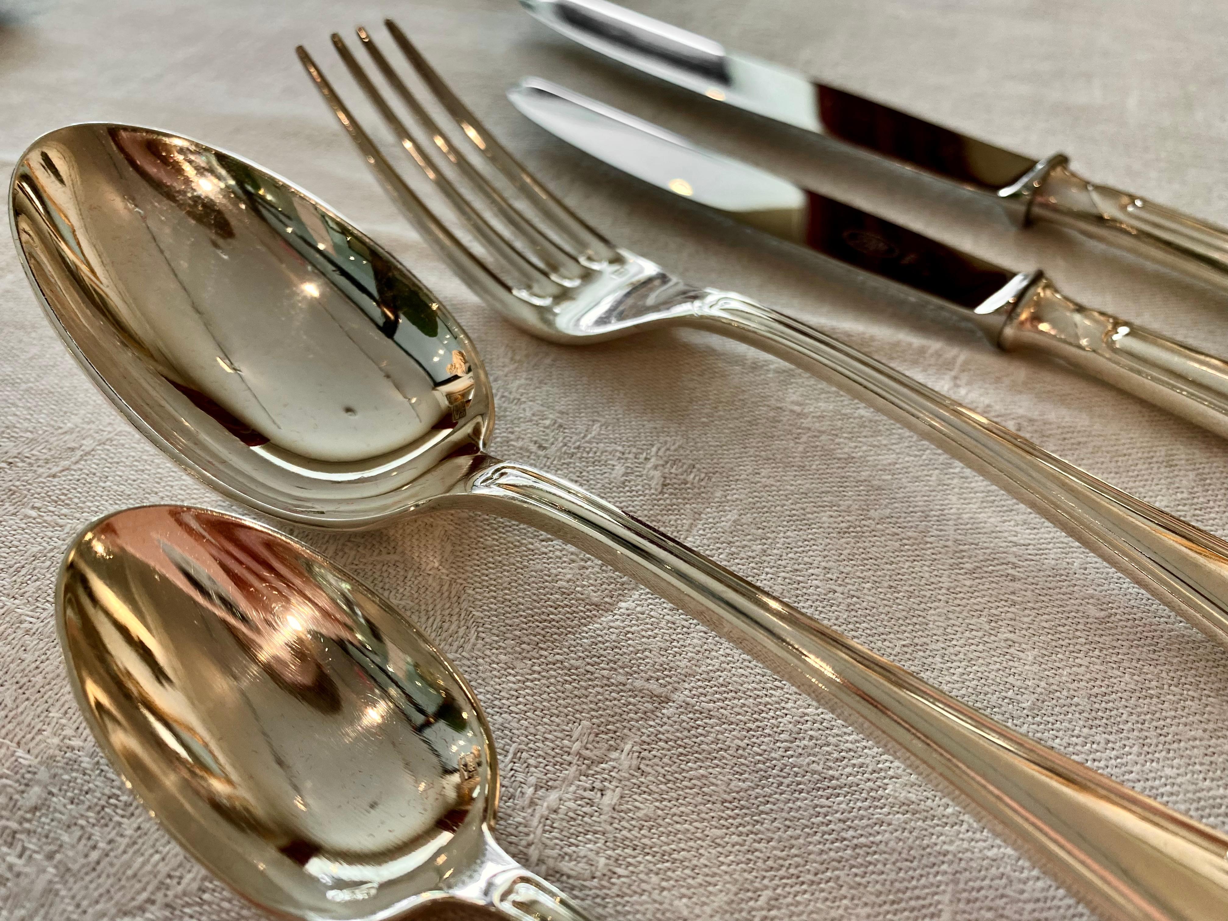 French Silver Plate Cutlery Set by Guêpe Fils Lyon, Louis XVI Style For Sale 4