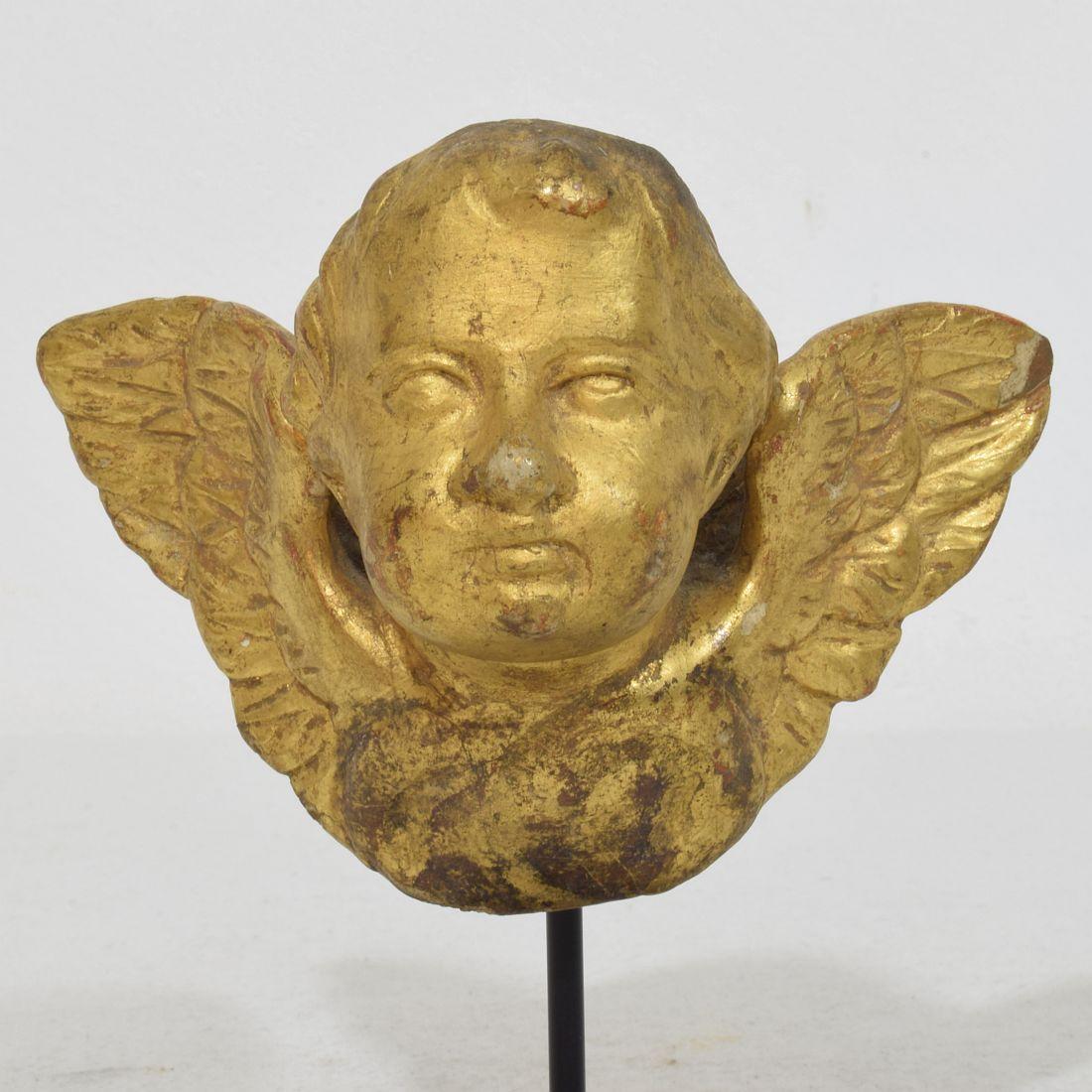 Italian Small 18th Century Hand Carved  Baroque Winged Angel Head For Sale 5