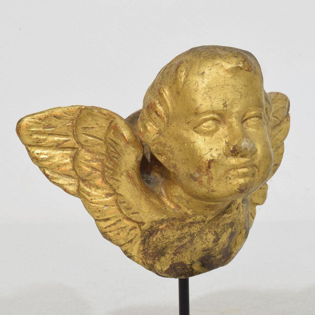 Italian Small 18th Century Hand Carved  Baroque Winged Angel Head For Sale 6