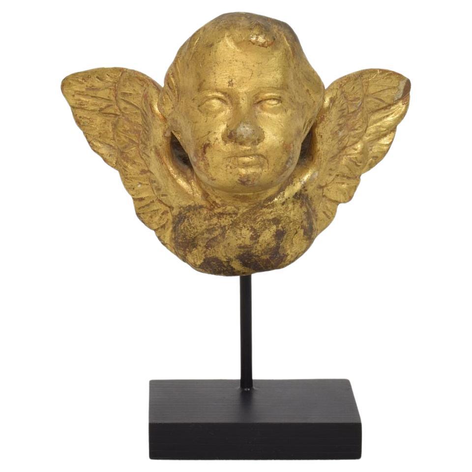 Italian Small 18th Century Hand Carved  Baroque Winged Angel Head For Sale