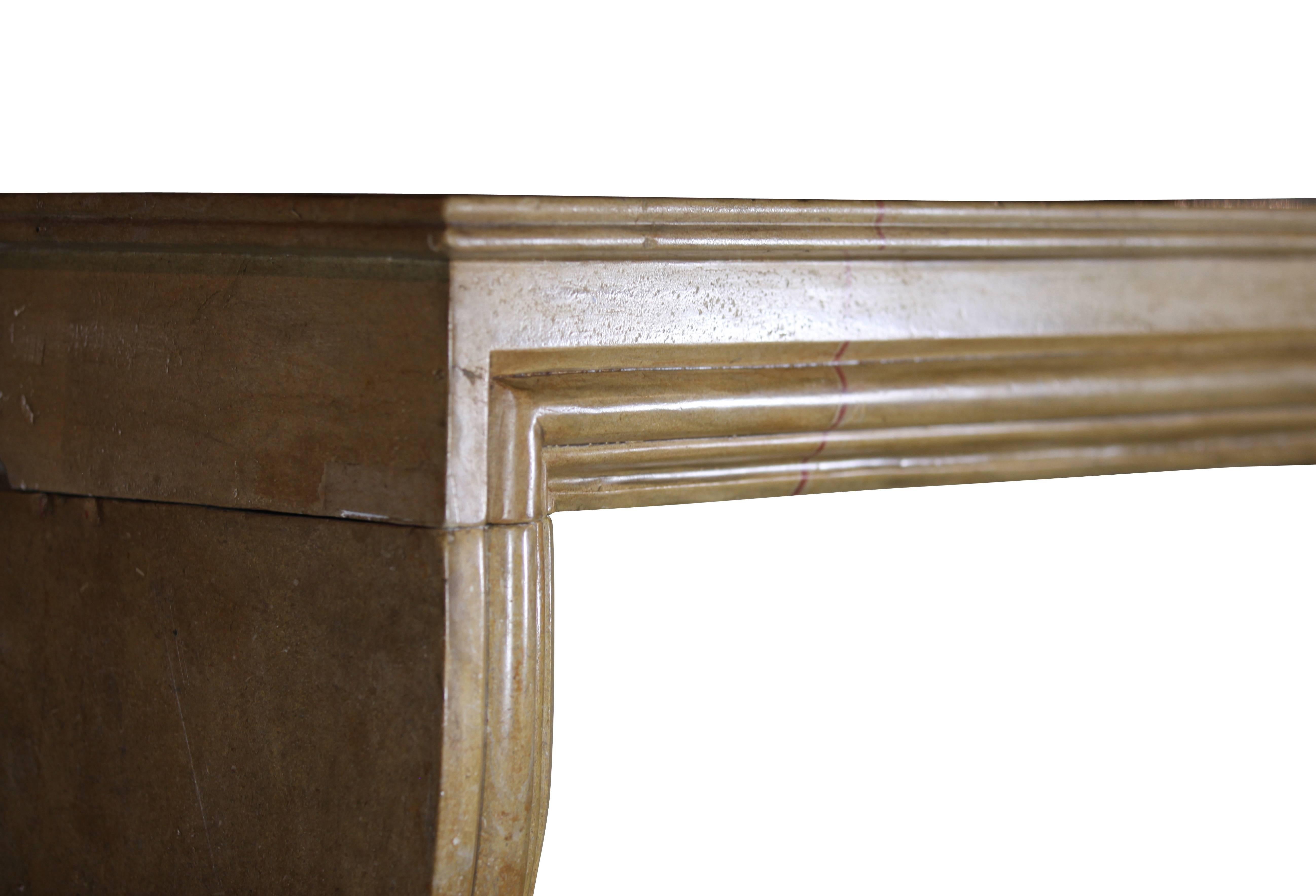 Louis XIV French Small Antique Hard Limestone Designed by Nature Fireplace Surround For Sale