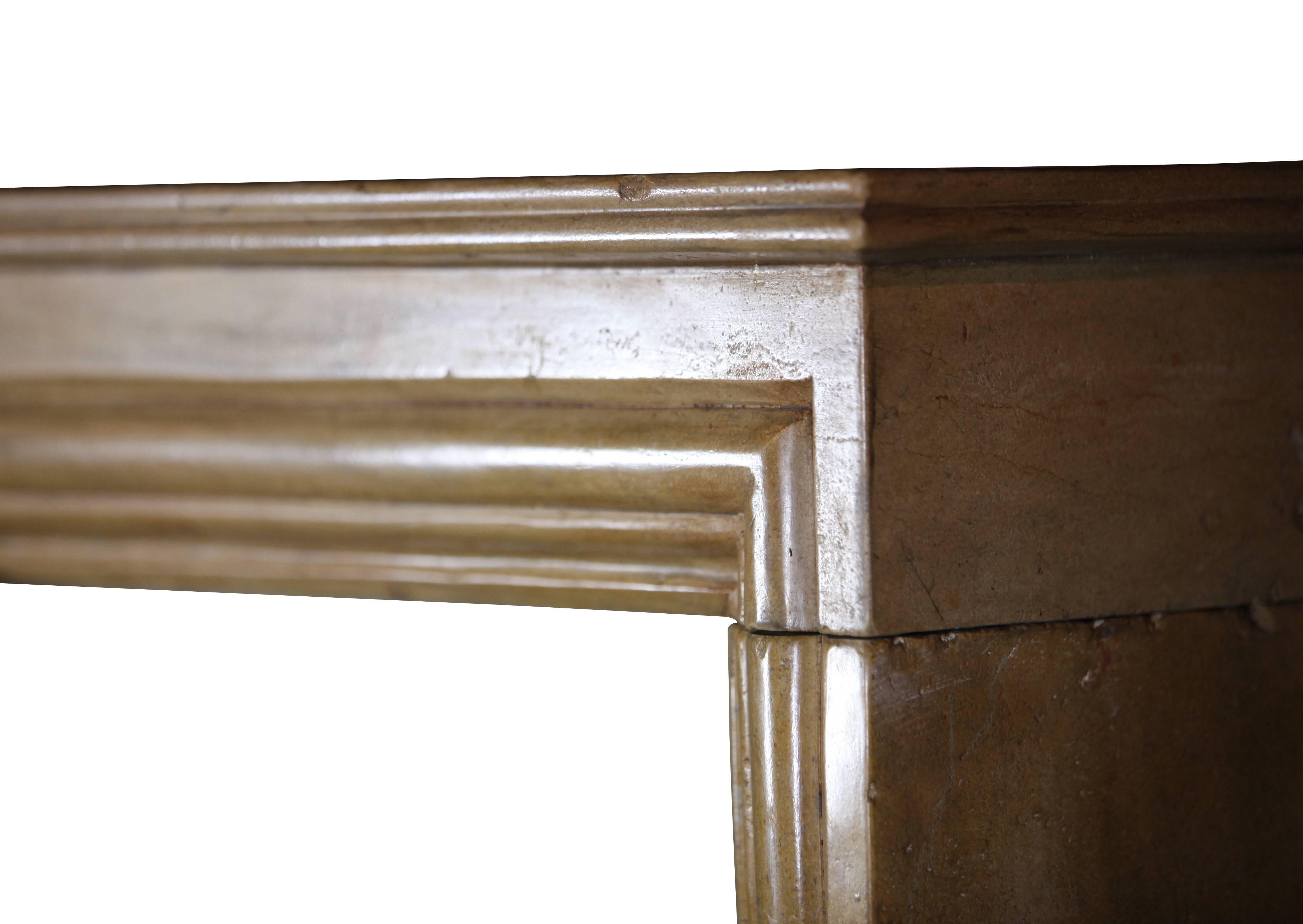 Carved French Small Antique Hard Limestone Designed by Nature Fireplace Surround For Sale