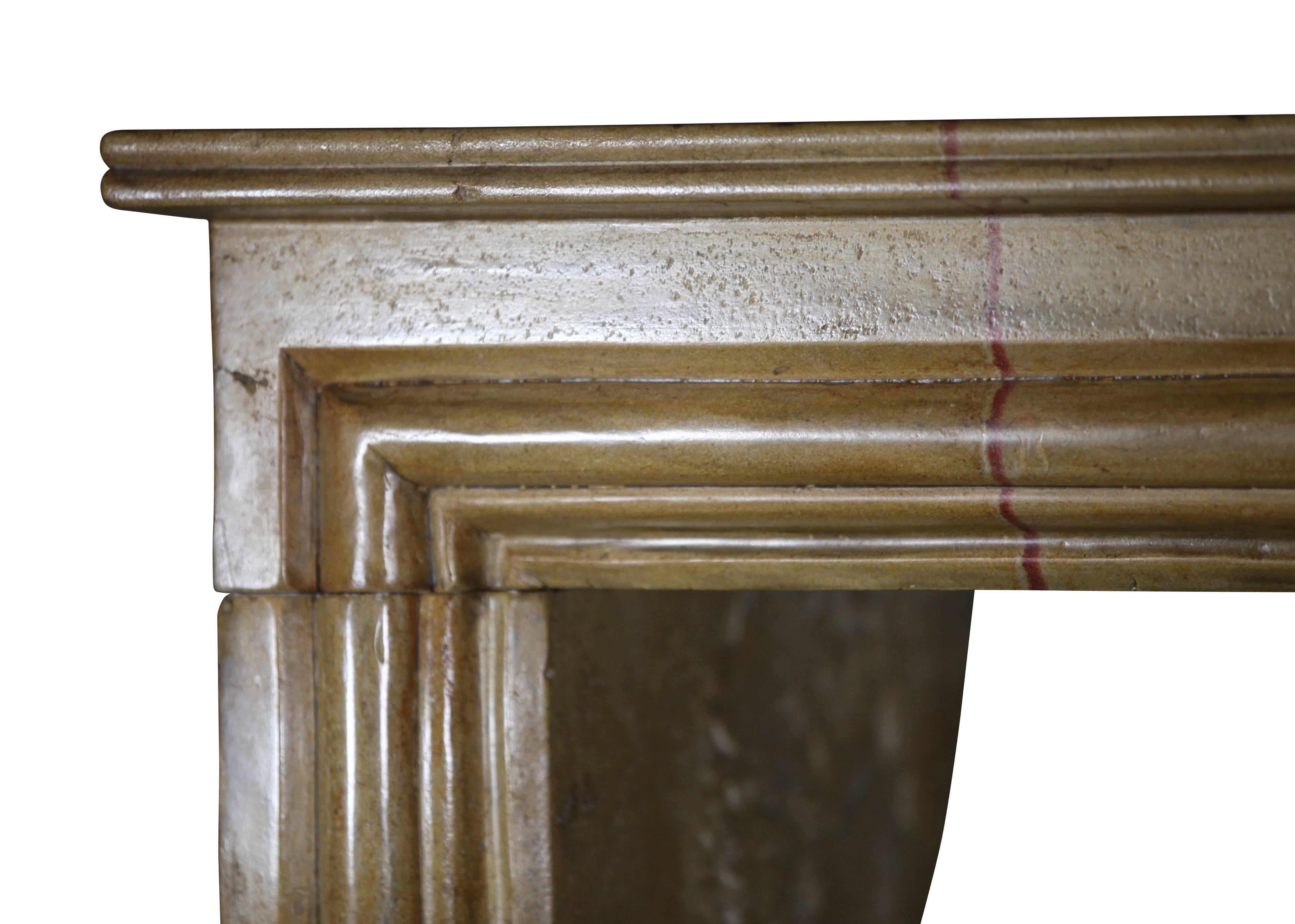 French Small Antique Hard Limestone Designed by Nature Fireplace Surround For Sale 1