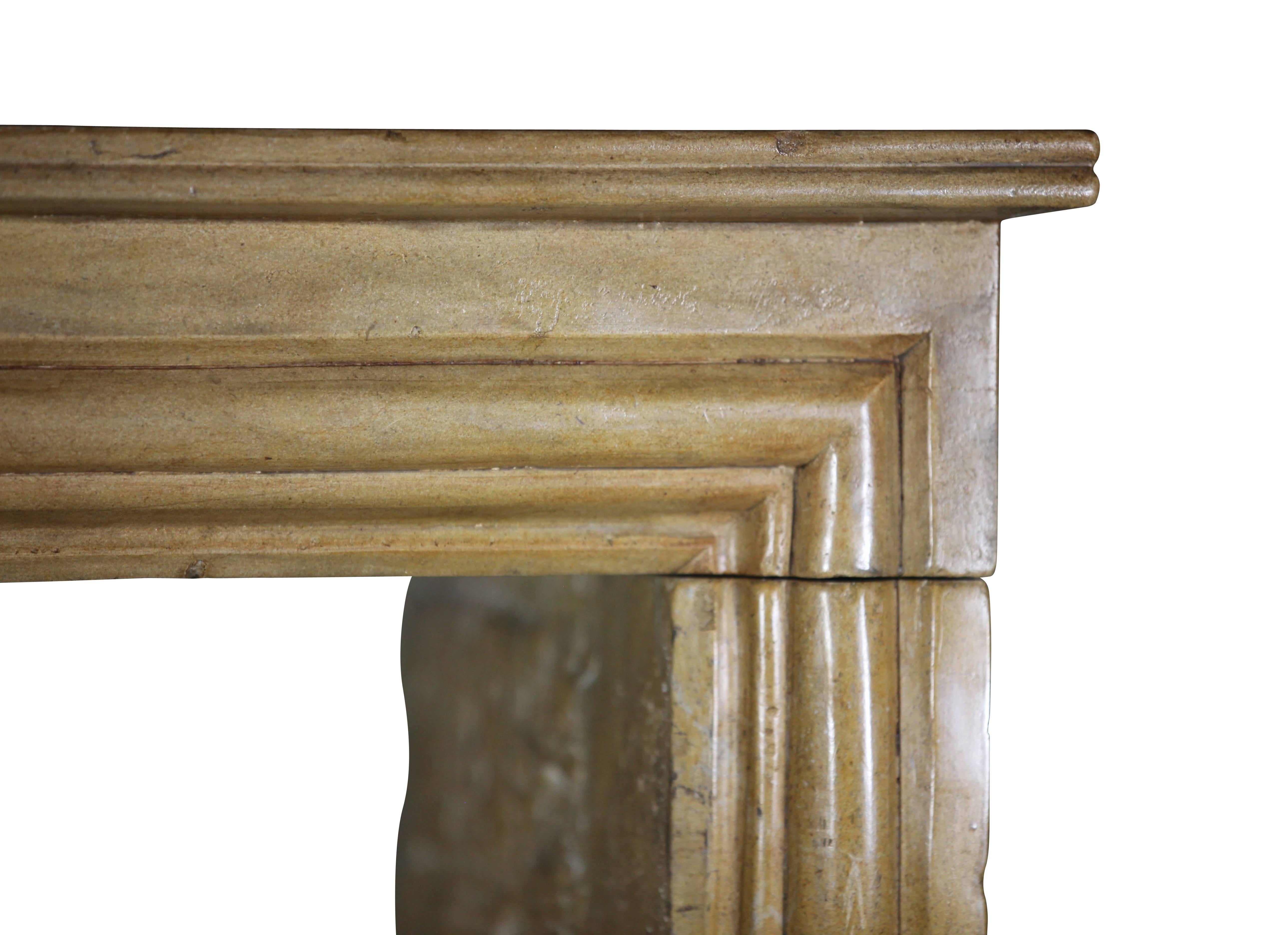 French Small Antique Hard Limestone Designed by Nature Fireplace Surround For Sale 2