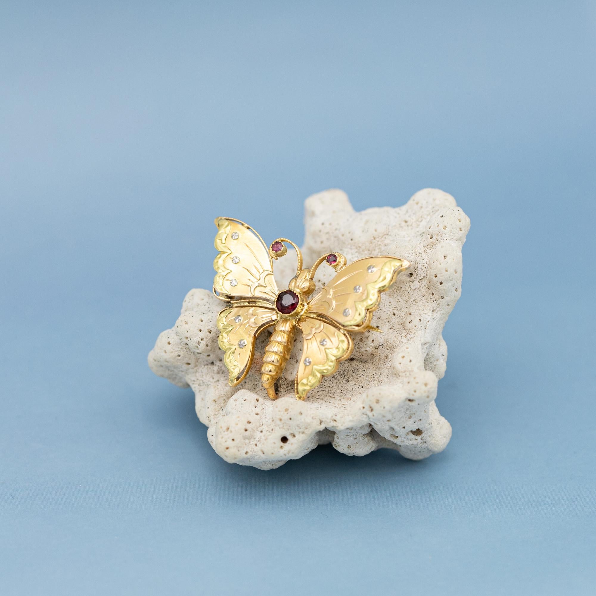 Mariposa francesa de oro macizo - Broche victoriano tardío de oro de 18 quilates con rubíes Corte europeo antiguo