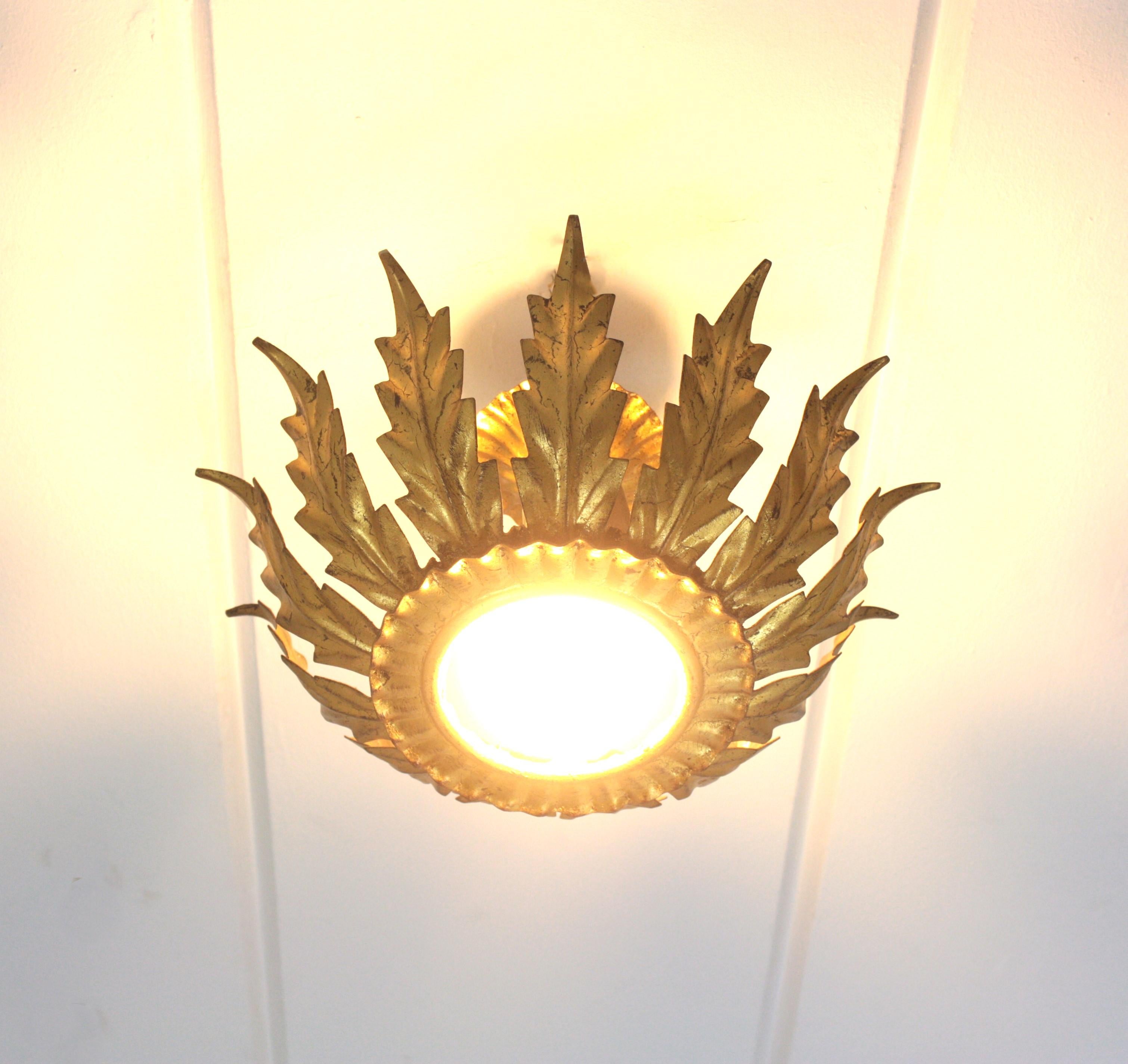 Lightsight Mount, fleur en soleil français, fer doré,  1940s en vente 3