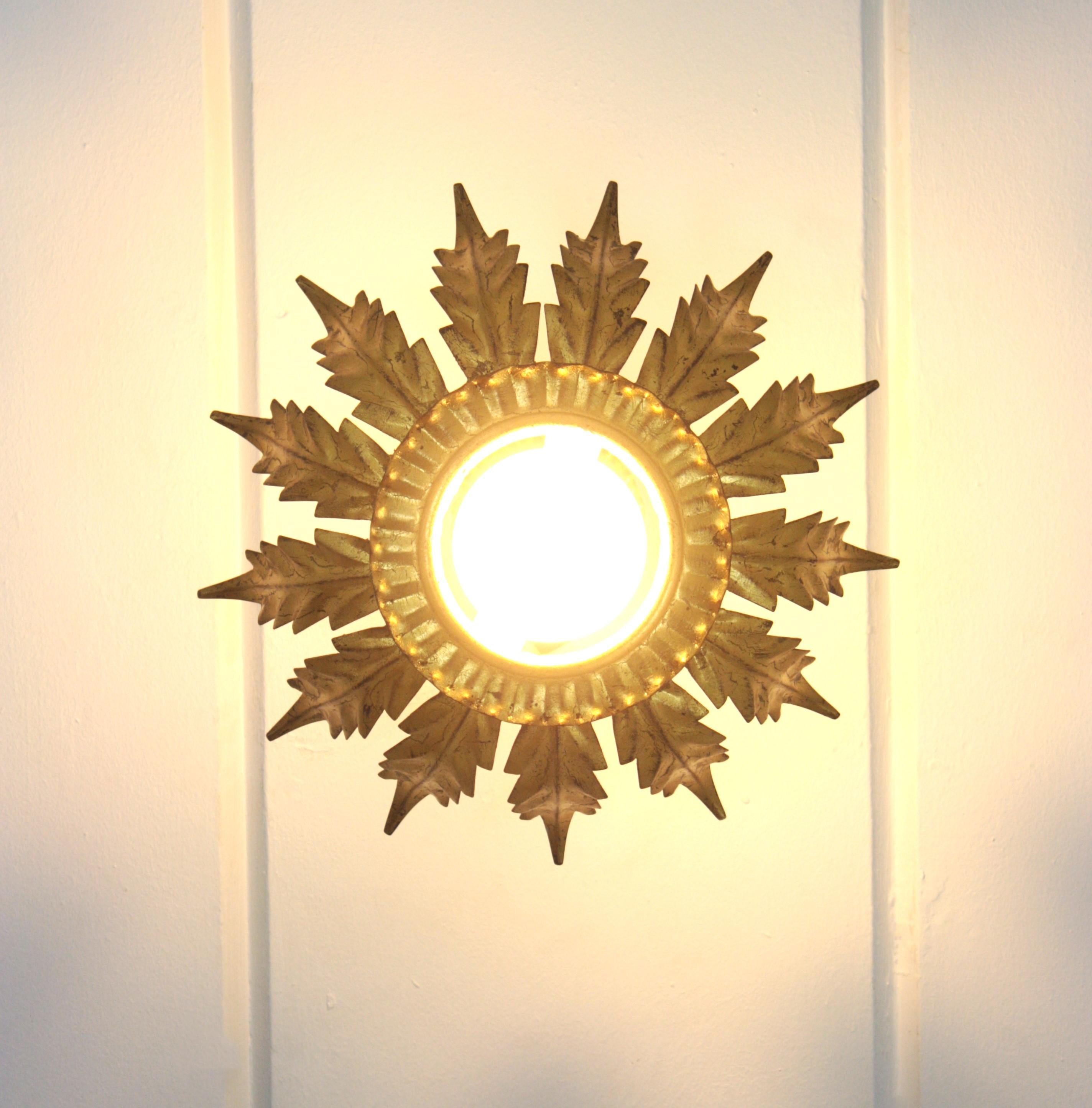 Lightsight Mount, fleur en soleil français, fer doré,  1940s en vente 6