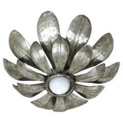 Sunburst Flower Light Fixture in Silvered Gilt Iron, 1950s
