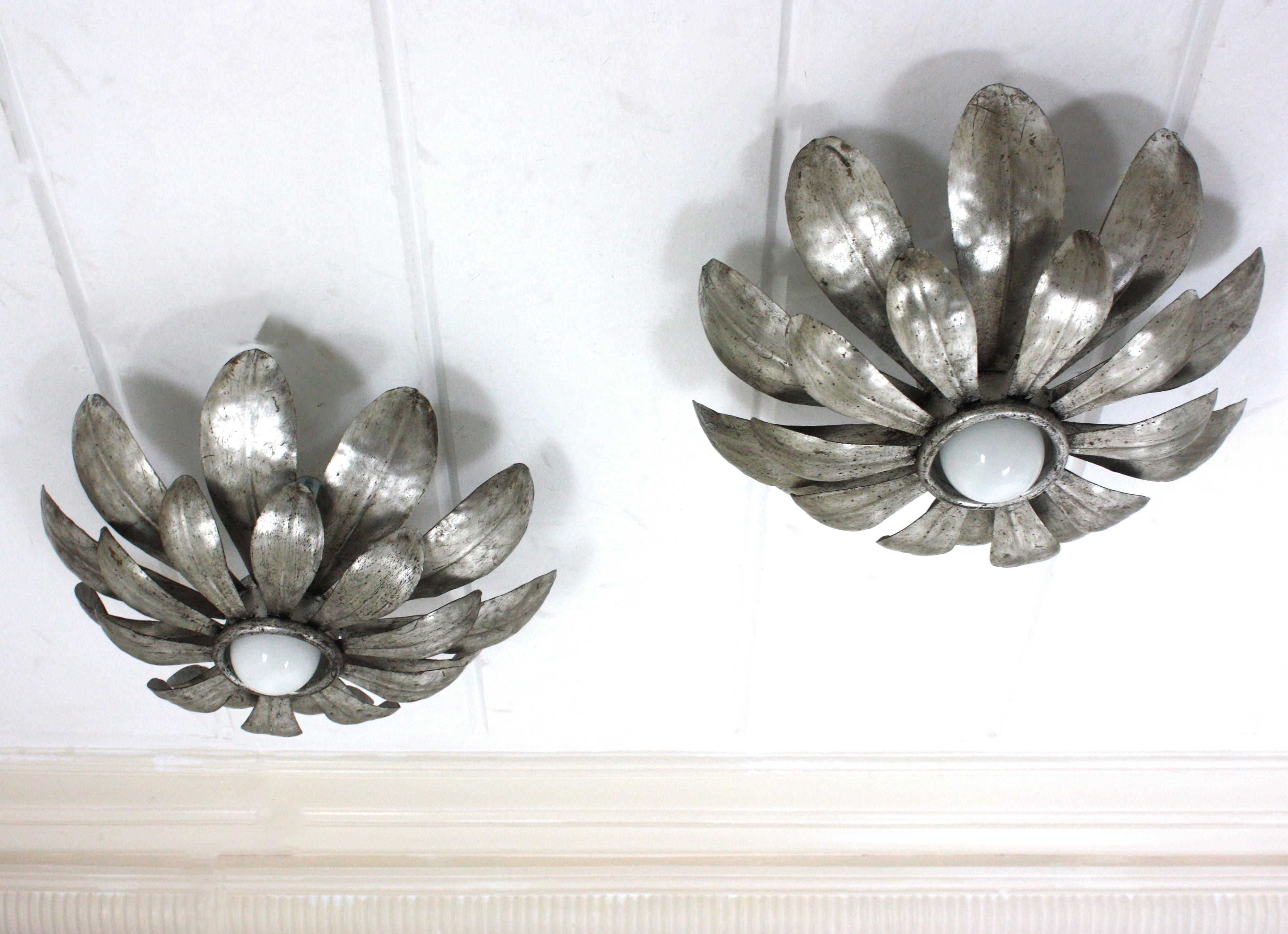 Sunburst Flower Light Fixture in Silvered Gilt Iron, 1950s In Good Condition For Sale In Barcelona, ES