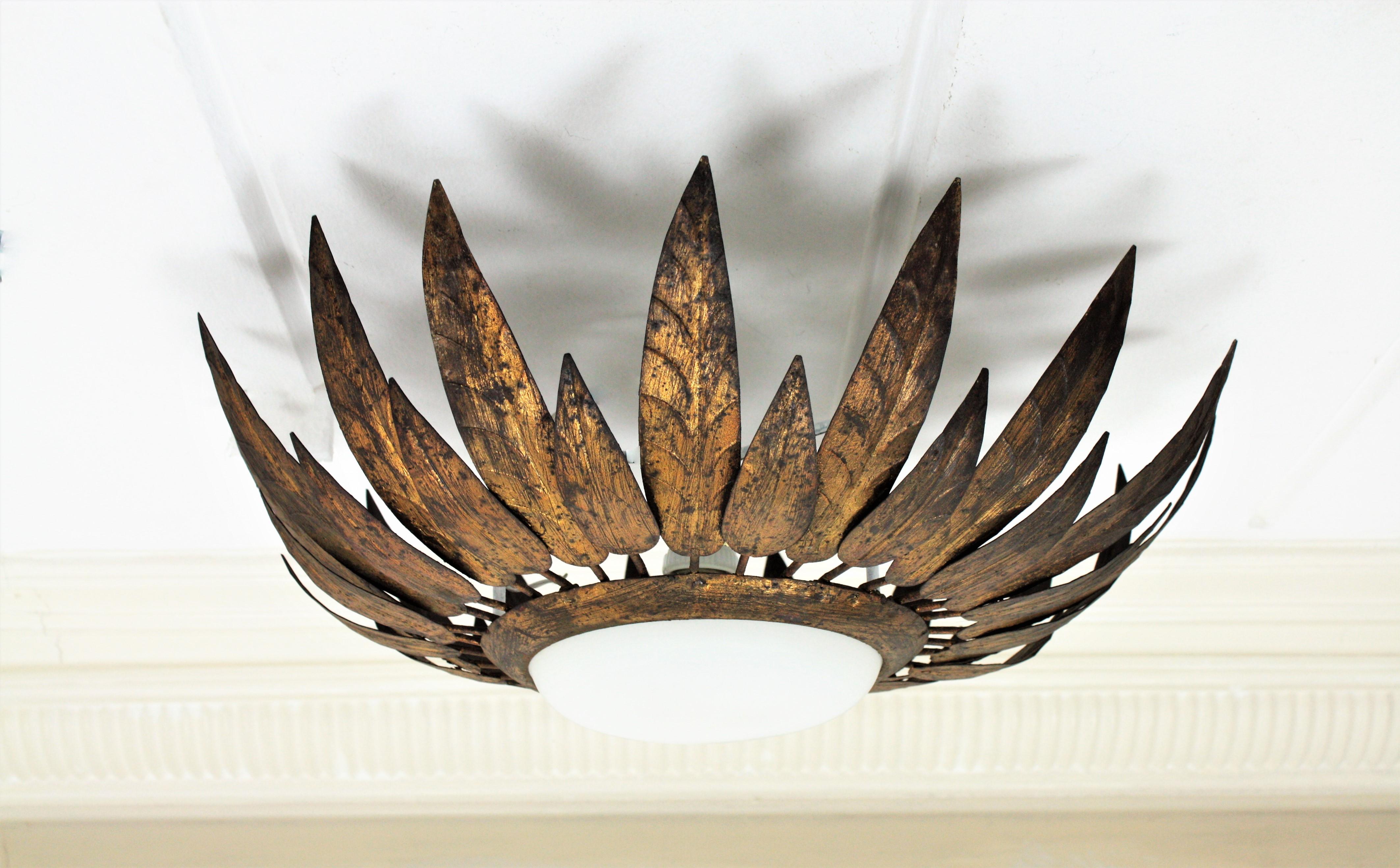 20th Century French Sunburst Flush Mount with Feathers Frame in Gilt Iron & Milk Glass, 1950s