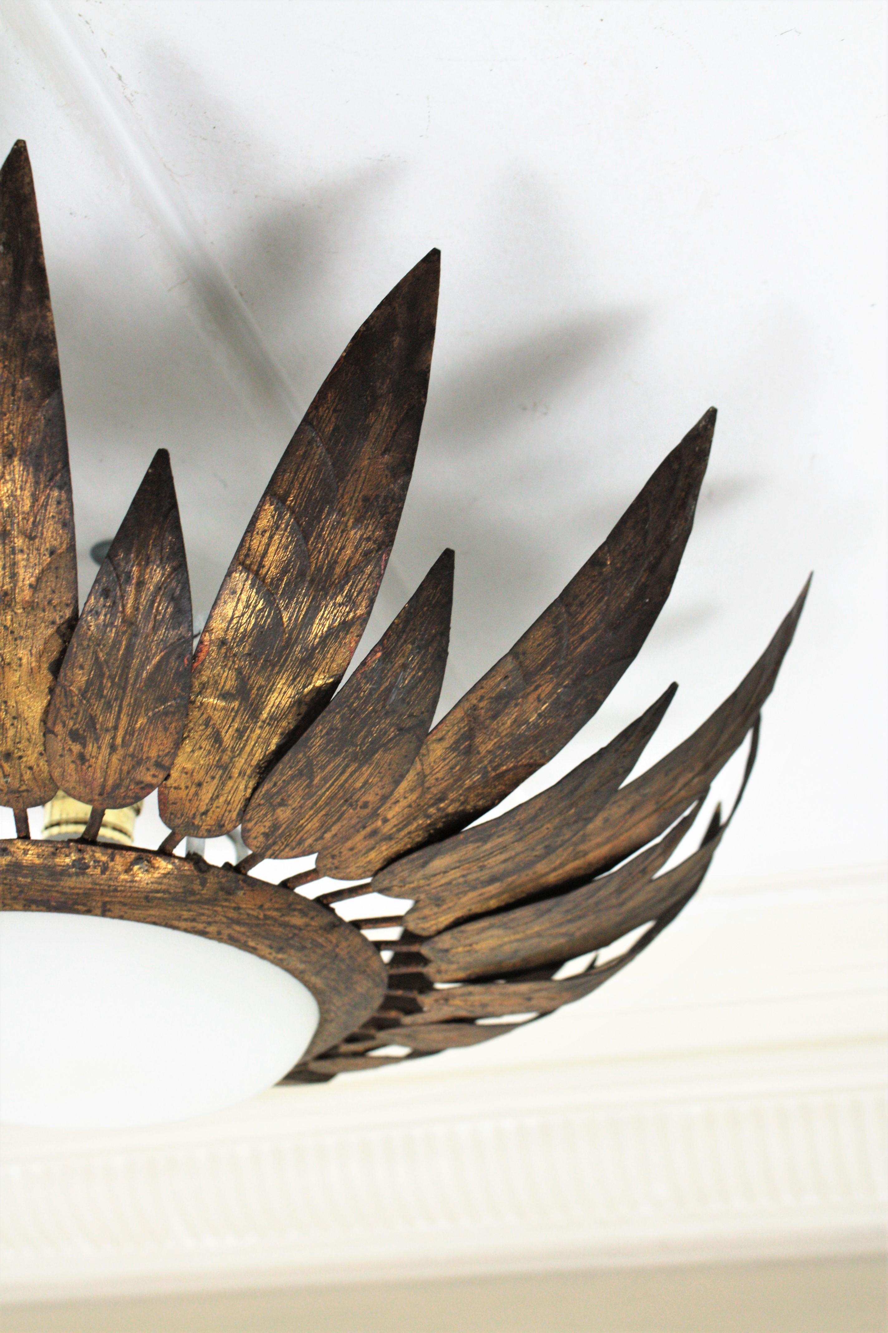French Sunburst Flush Mount with Feathers Frame in Gilt Iron & Milk Glass, 1950s 1