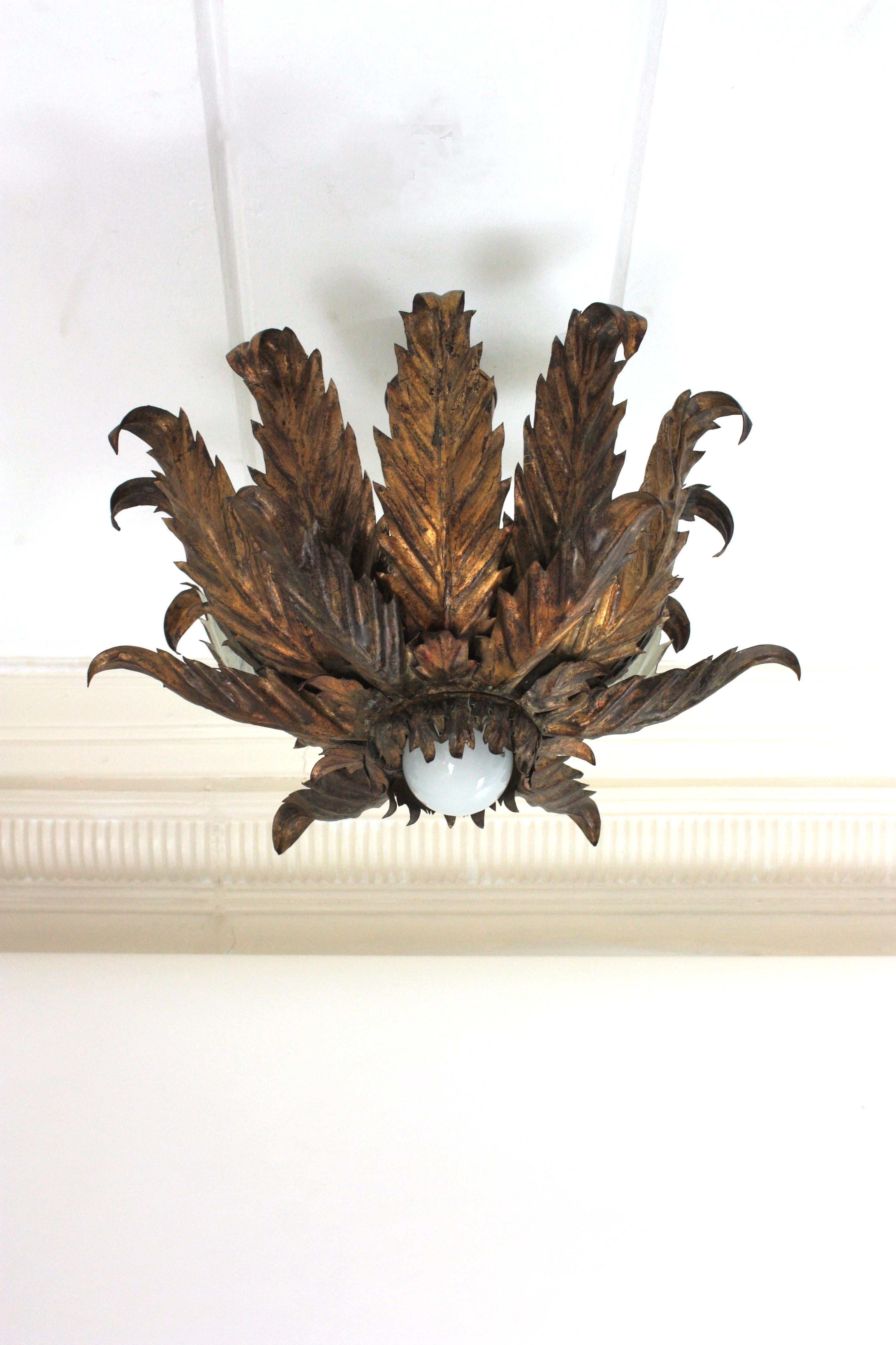 Mid-Century Modern French Sunburst Foliage Ceiling Light Fixture / Chandelier in Gilt Iron, 1940s For Sale