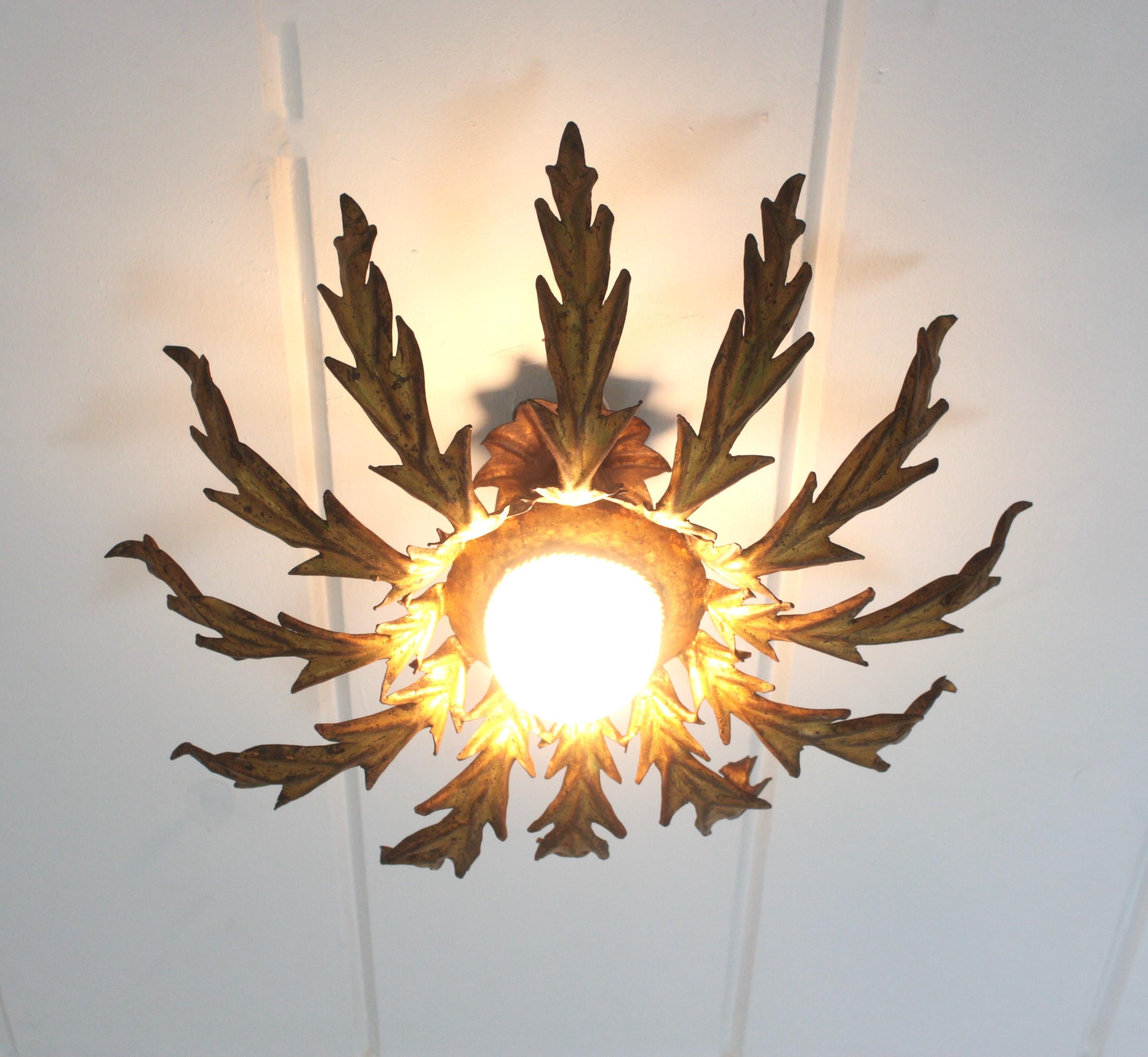 French Sunburst Leafed Ceiling Light Fixture in Gilt Iron, 1940s For Sale 6