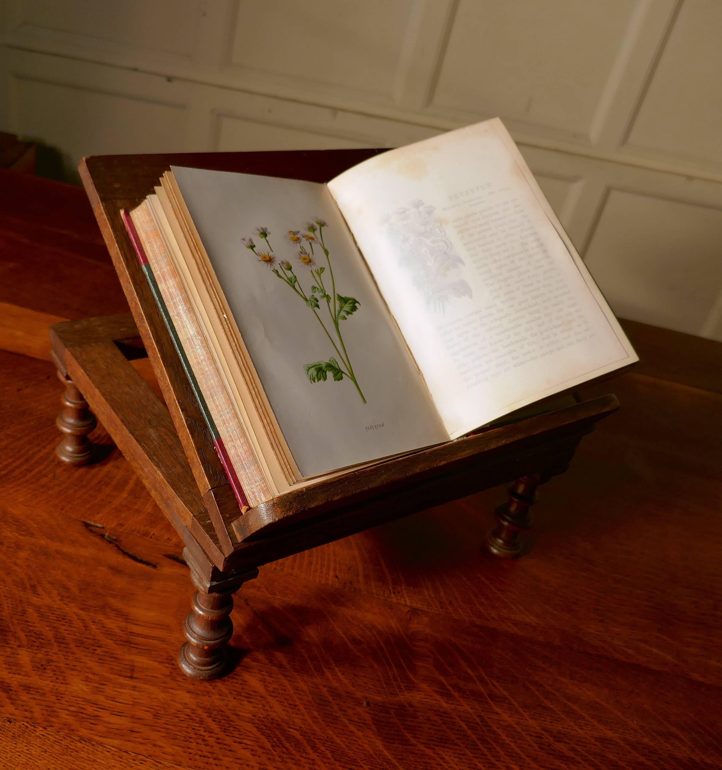 French swivelling oak book rest or music stand, Lutrin

This is a charming piece, it is made in solid oak and dates from the end of the 19th century, it has been superbly hand crafted by a skilful master.

The base of the stand is set on dainty