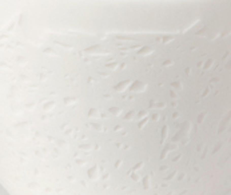 Un style simple et contemporain ainsi que la finesse mate et blanche de la porcelaine ajouteront une touche française unique à votre table et à votre décoration intérieure.

Design/One.