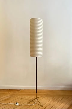 French Teak and Brass Floor Lamp