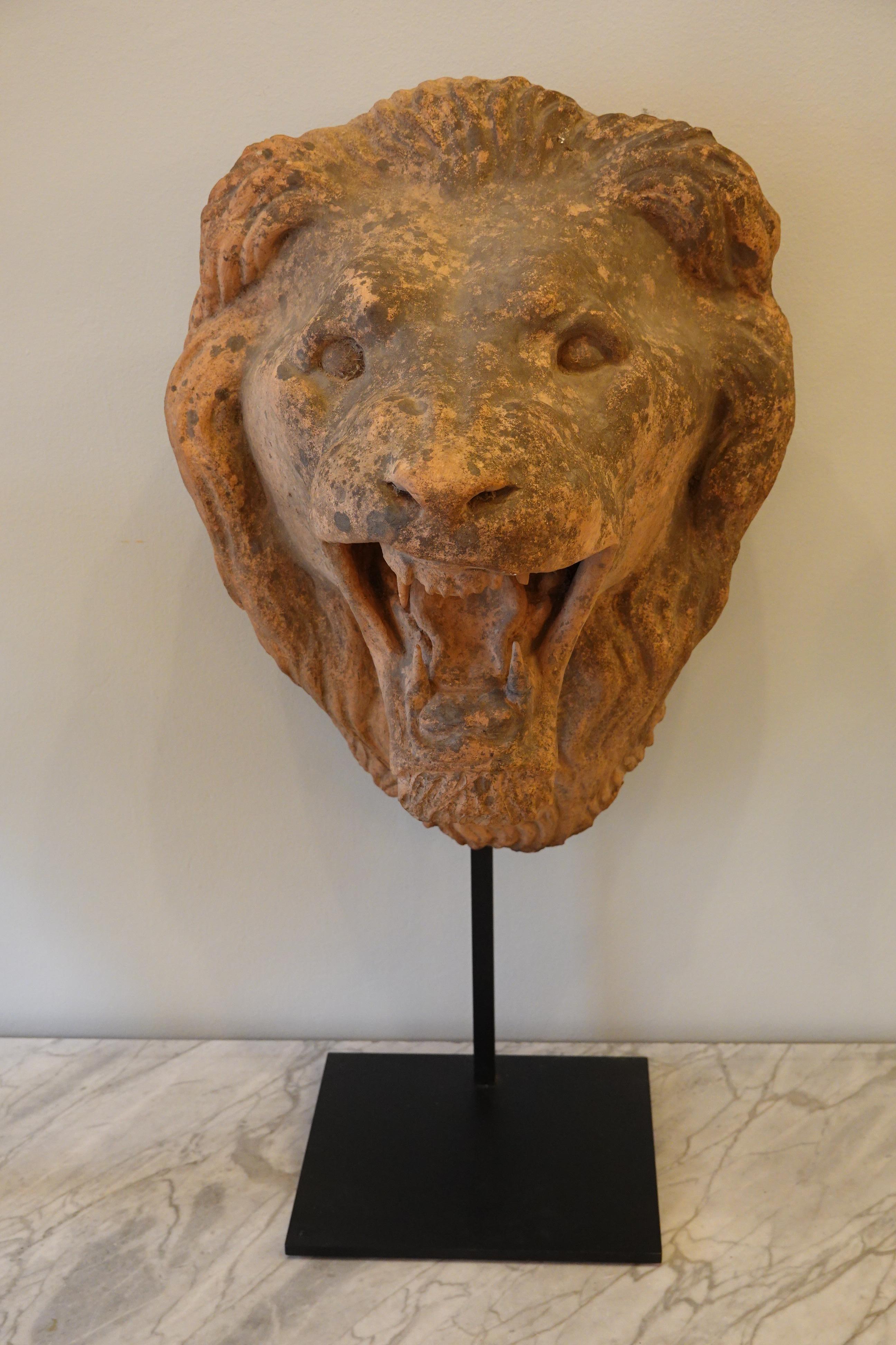 French Terracotta Lion's Head on Custom Iron Stand For Sale 1