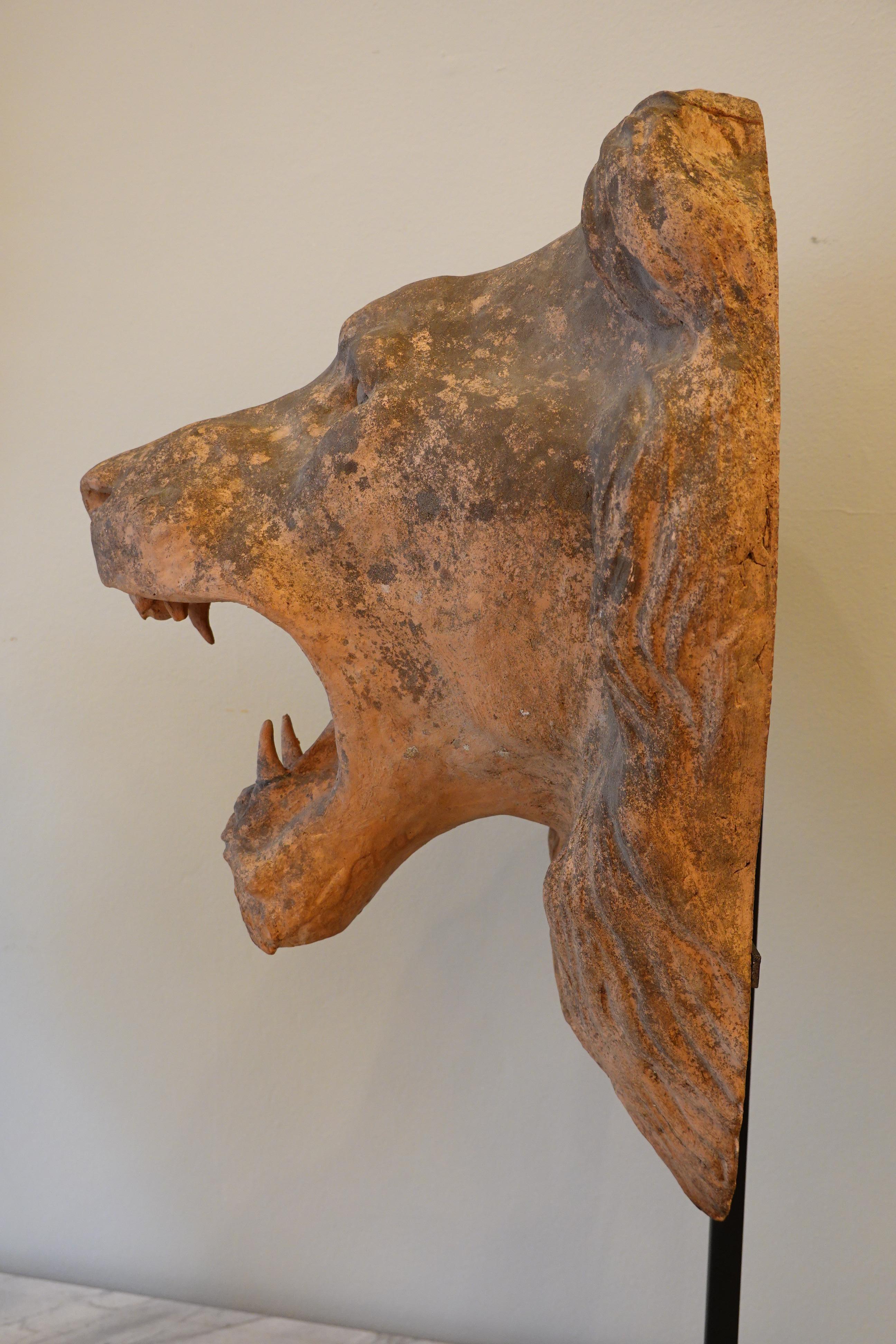 French Terracotta Lion's Head on Custom Iron Stand For Sale 2