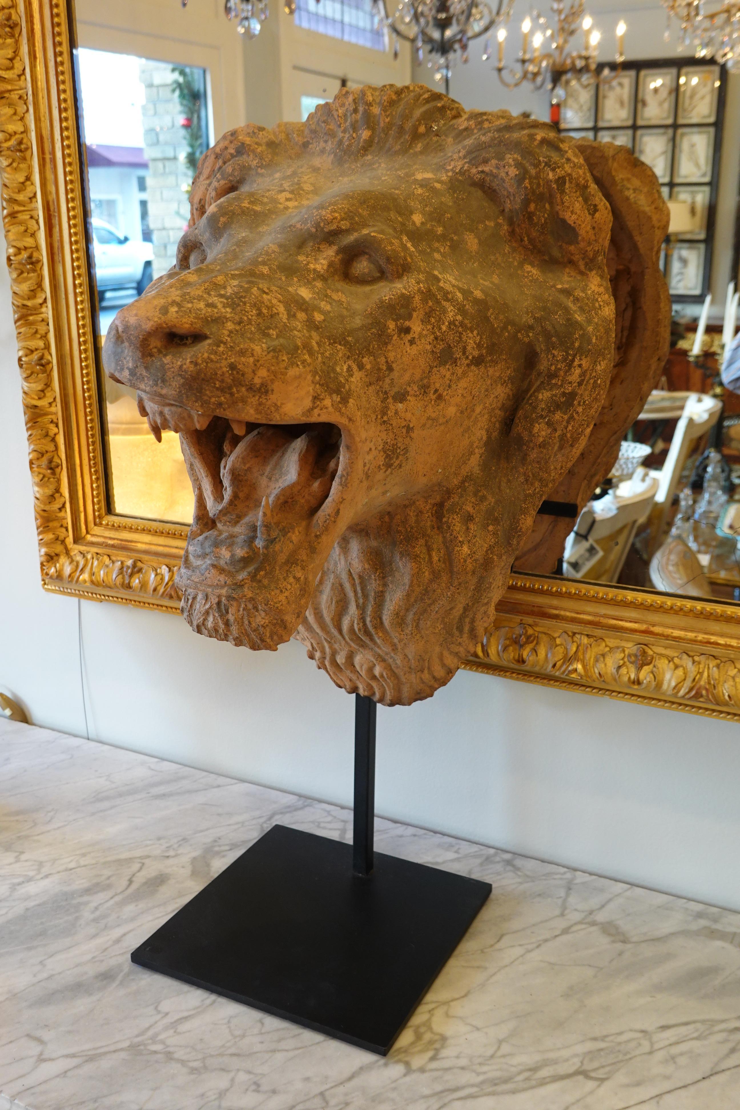 Französischer Löwenkopf aus Terrakotta auf speziellem eisernem Stand (Neoklassisch) im Angebot