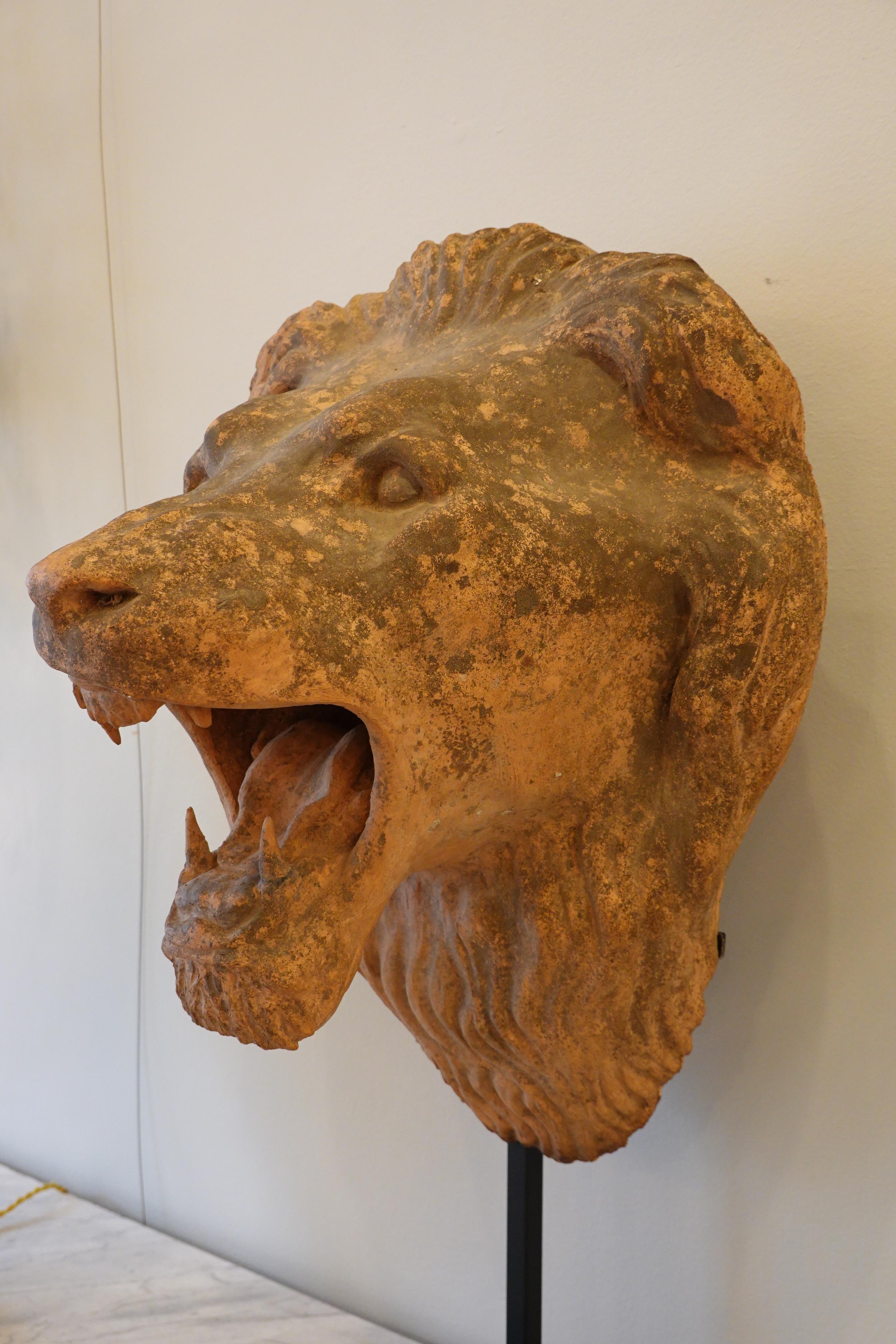 Französischer Löwenkopf aus Terrakotta auf speziellem eisernem Stand (Handgefertigt) im Angebot