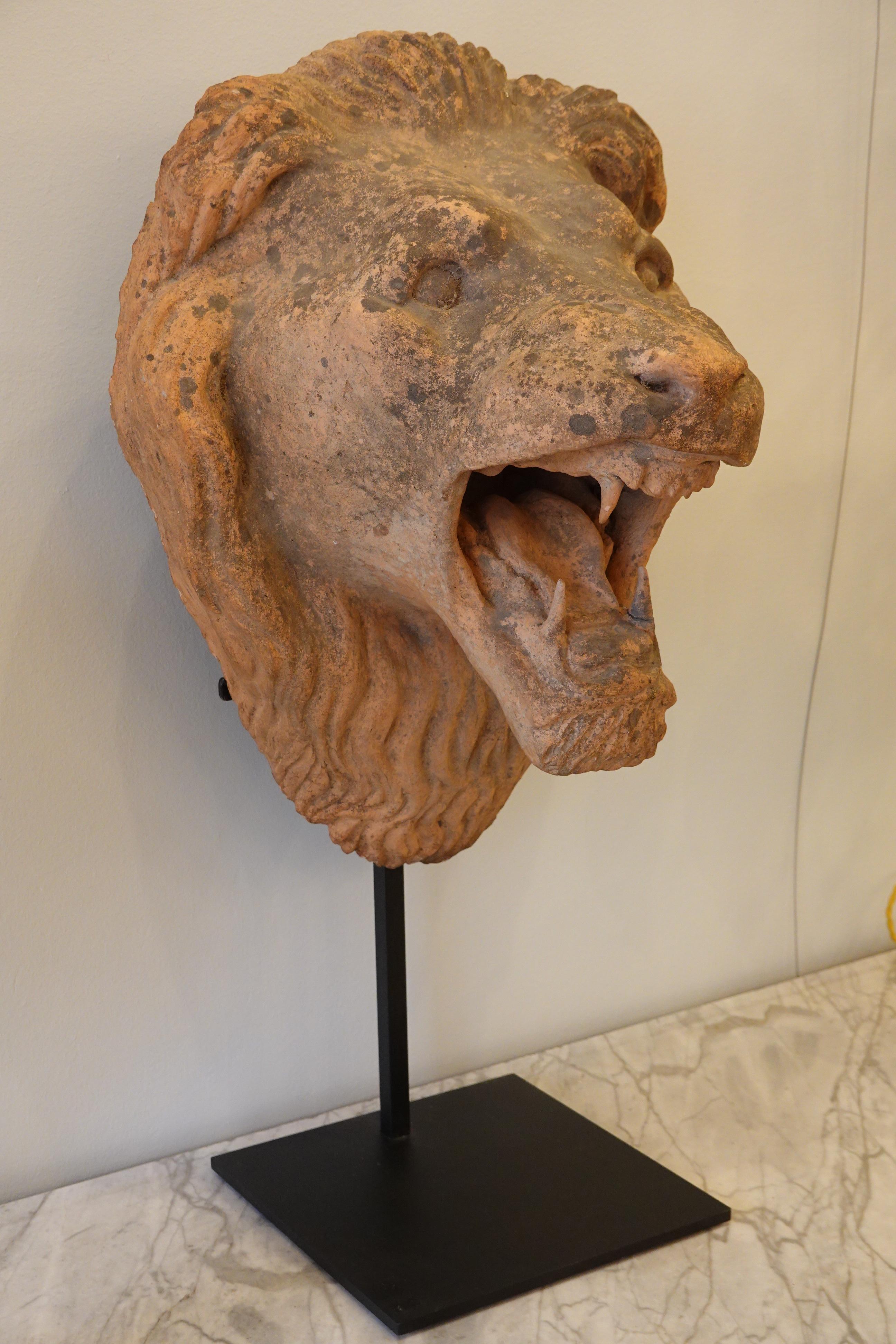 Französischer Löwenkopf aus Terrakotta auf speziellem eisernem Stand im Zustand „Gut“ im Angebot in Pembroke, MA
