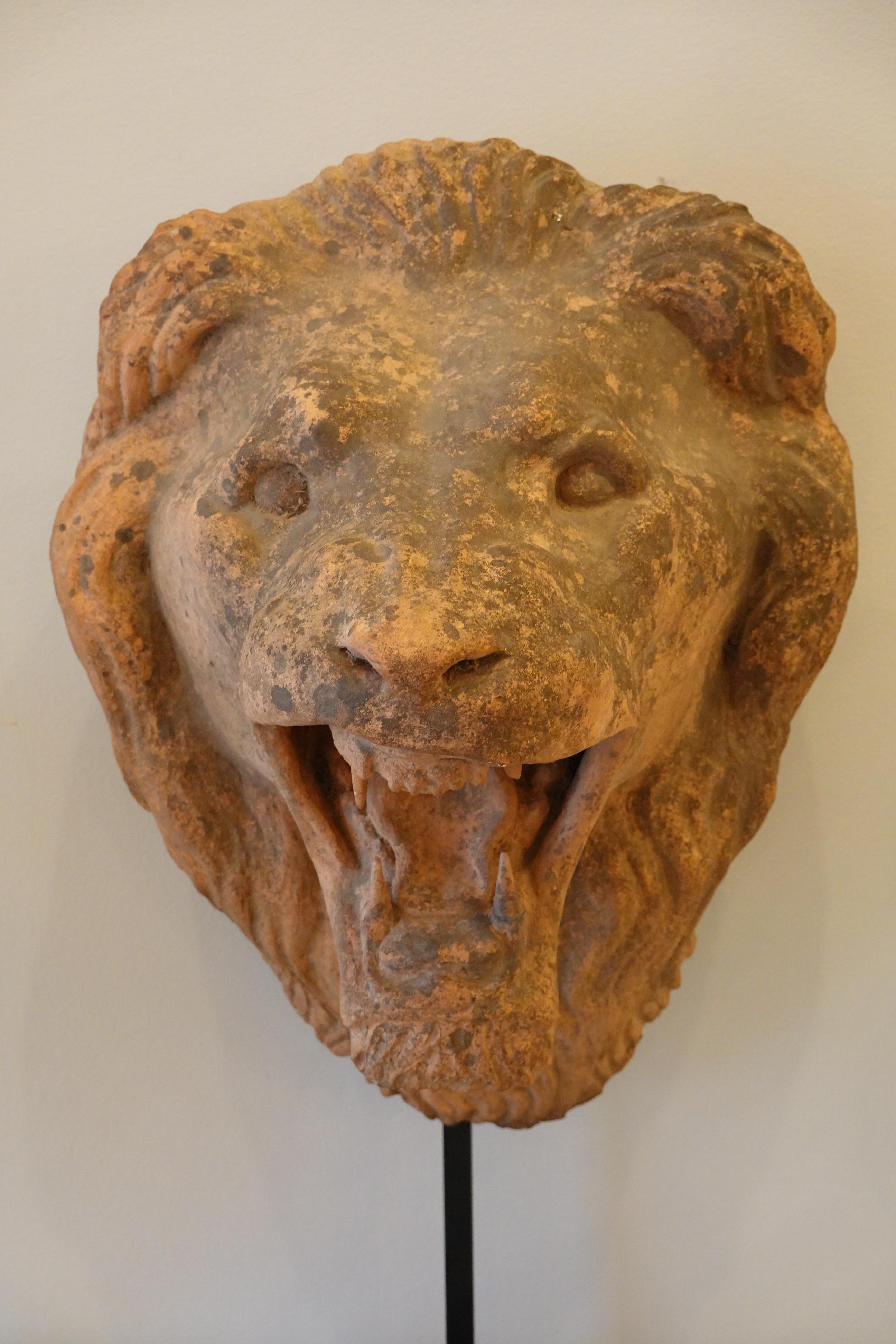 Französischer Löwenkopf aus Terrakotta auf speziellem eisernem Stand (19. Jahrhundert) im Angebot