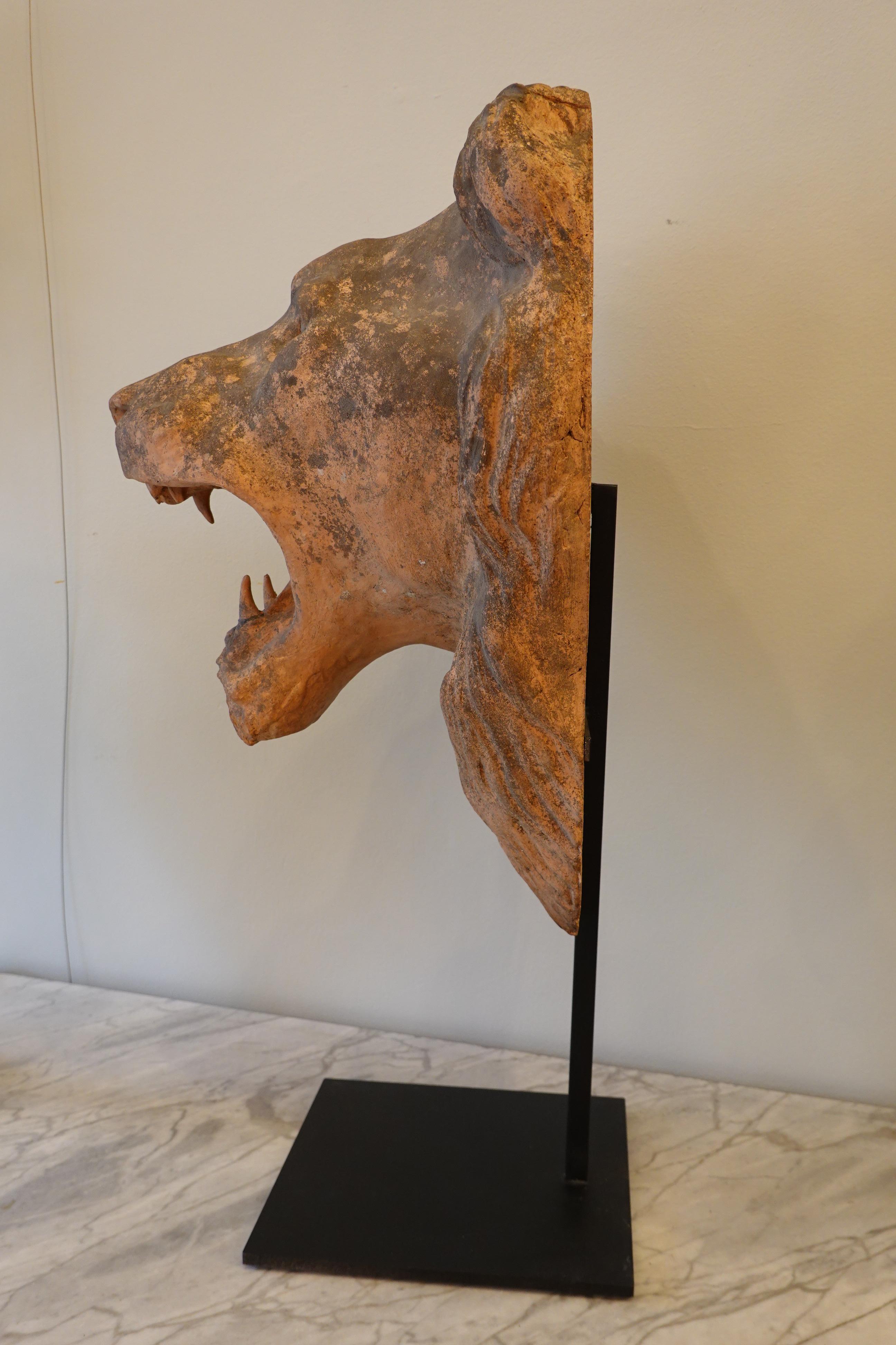Französischer Löwenkopf aus Terrakotta auf speziellem eisernem Stand im Angebot 3