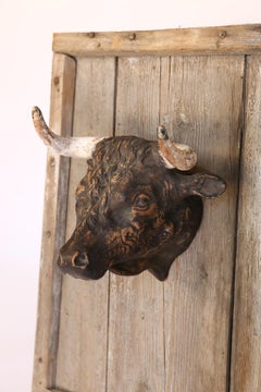 French Terracotta Bull Head on Wood Frame