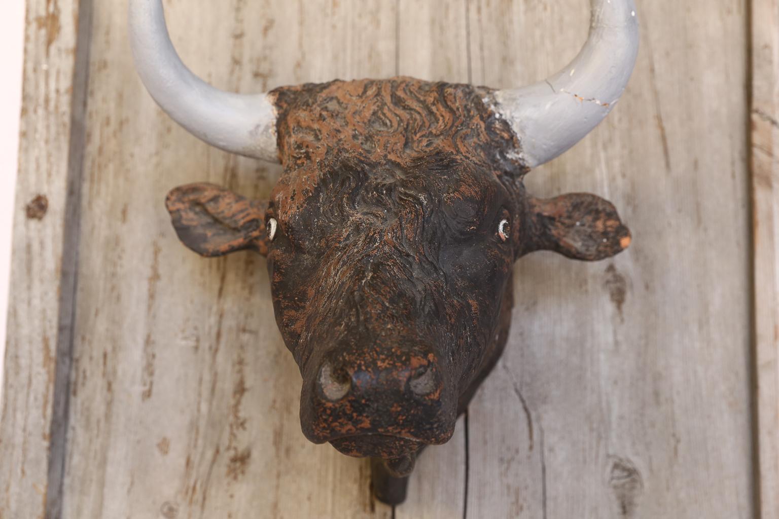 French Terracotta Bull Head on Wood Frame 2
