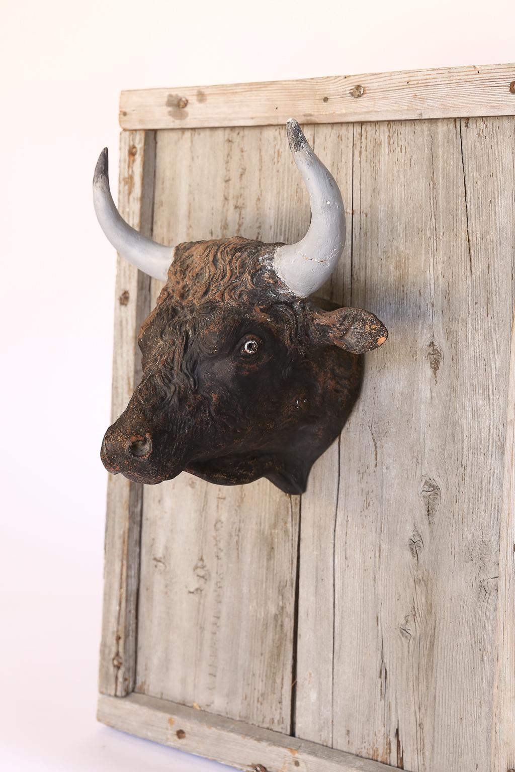 French Terracotta Bull Head on Wood Frame 3