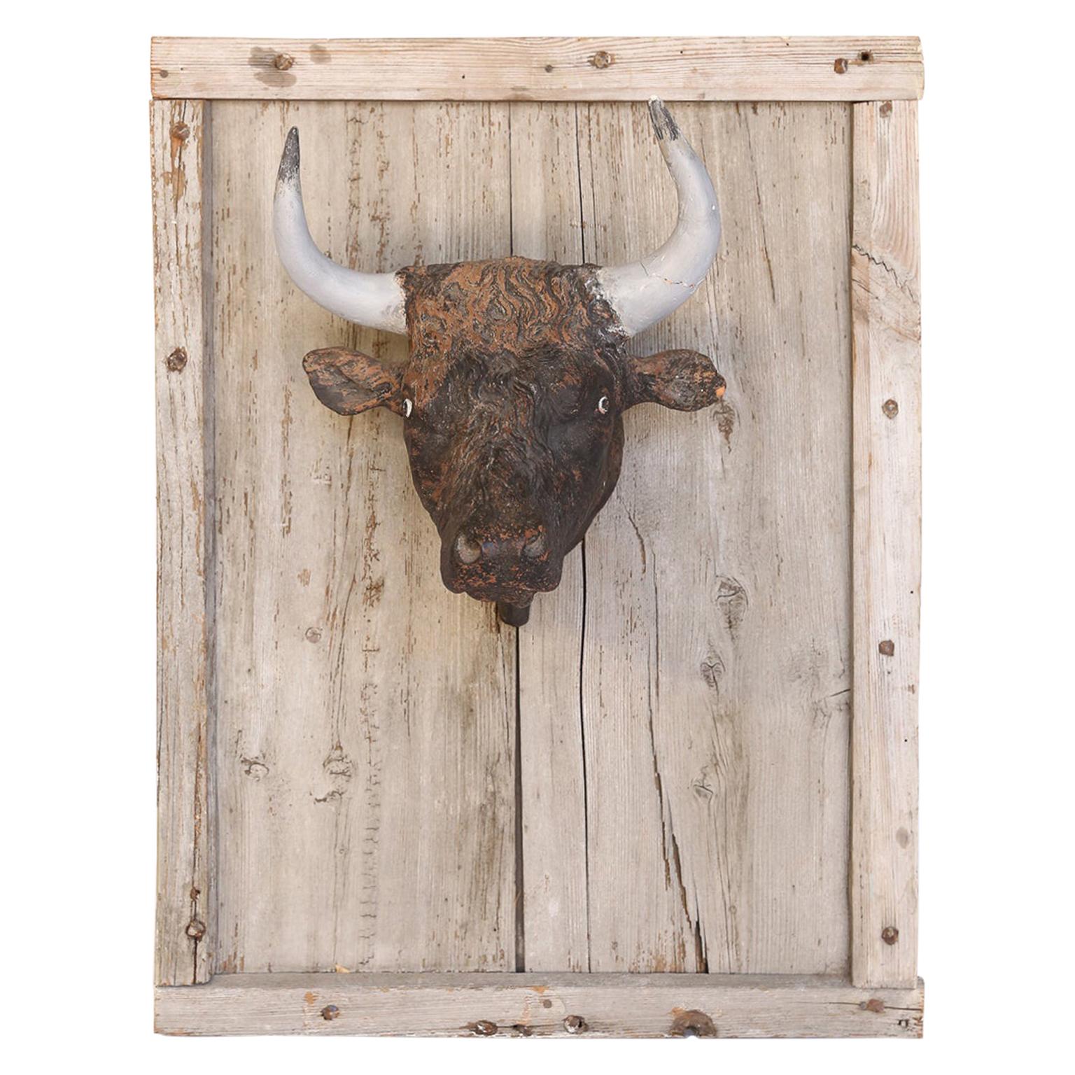 French Terracotta Bull Head on Wood Frame