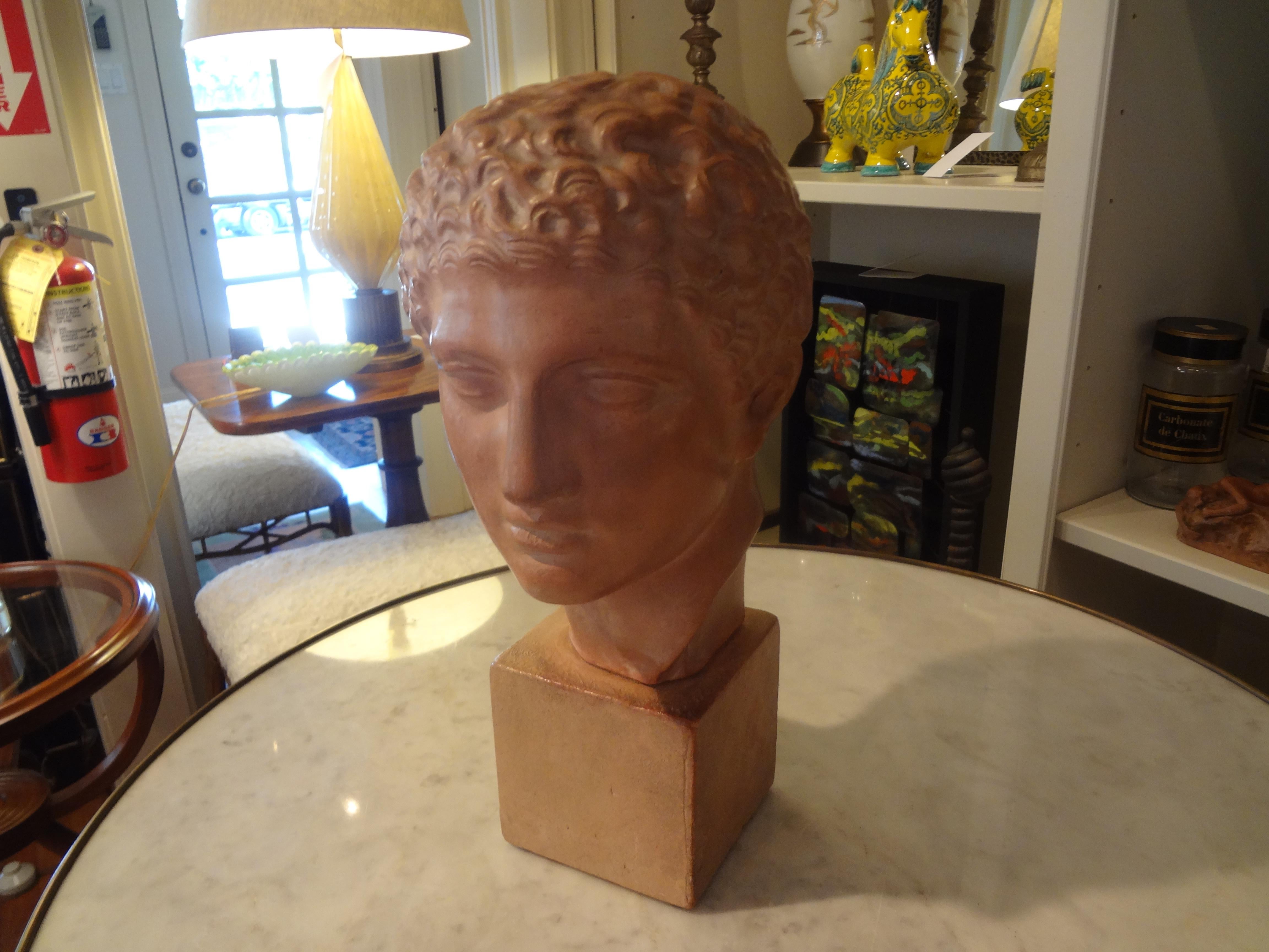French Terracotta Bust Sculpture of a Classical Roman Male In Good Condition In Houston, TX