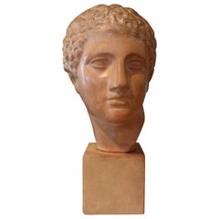 French Terracotta Bust Sculpture of a Classical Roman Male