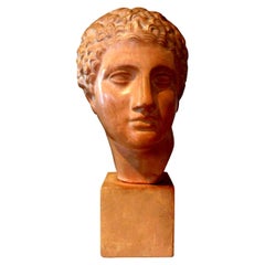 French Terracotta Bust Sculpture of a Classical Roman Male
