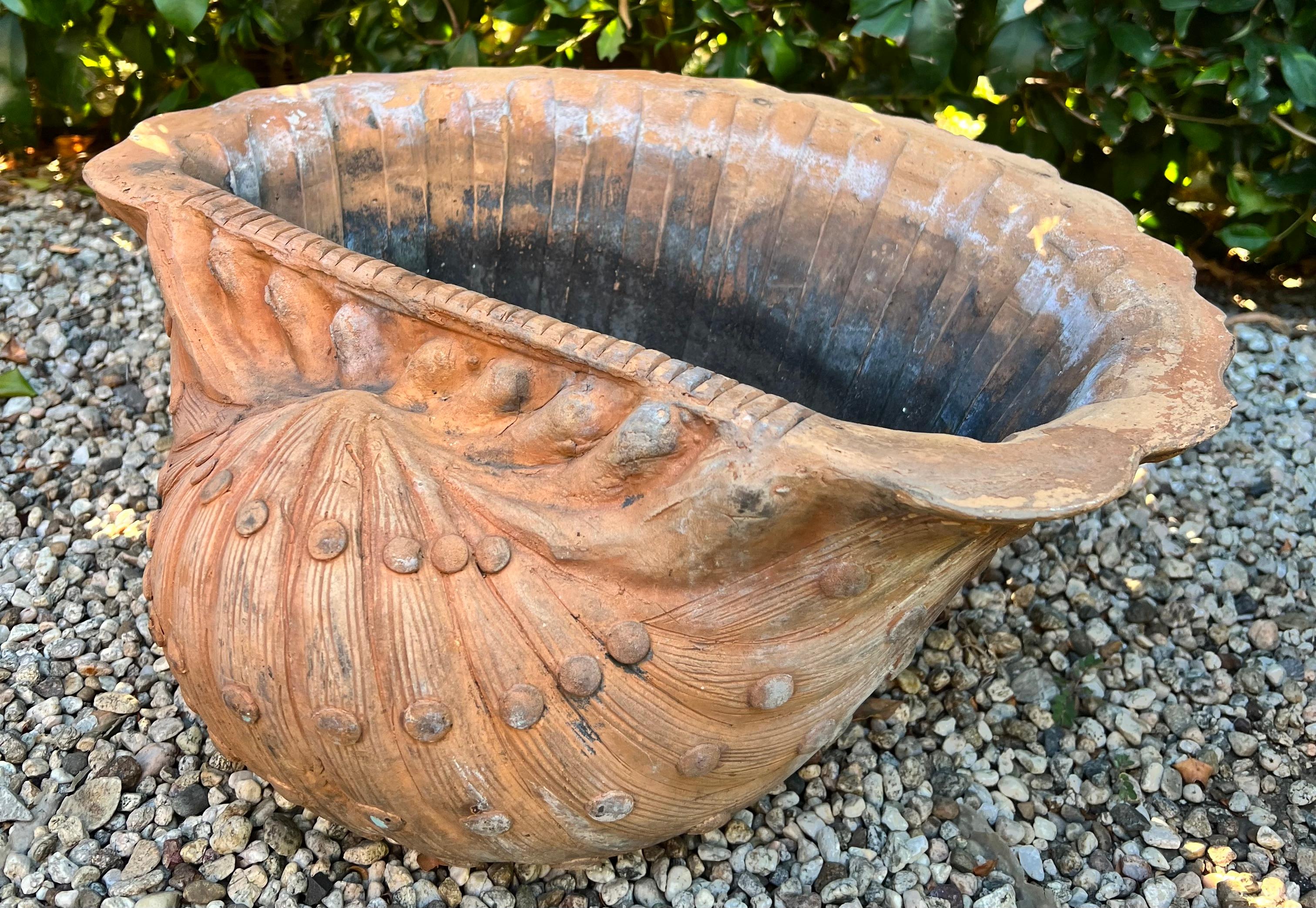 A beautifully designed Terracotta Planter or Jardiniere in the shape of a Shell or Conch Shell.

The perfect addition to any garden, garden room, patio or even doors as a centerpieces of planter.  The design is lovely with a shell motif with 3-D
