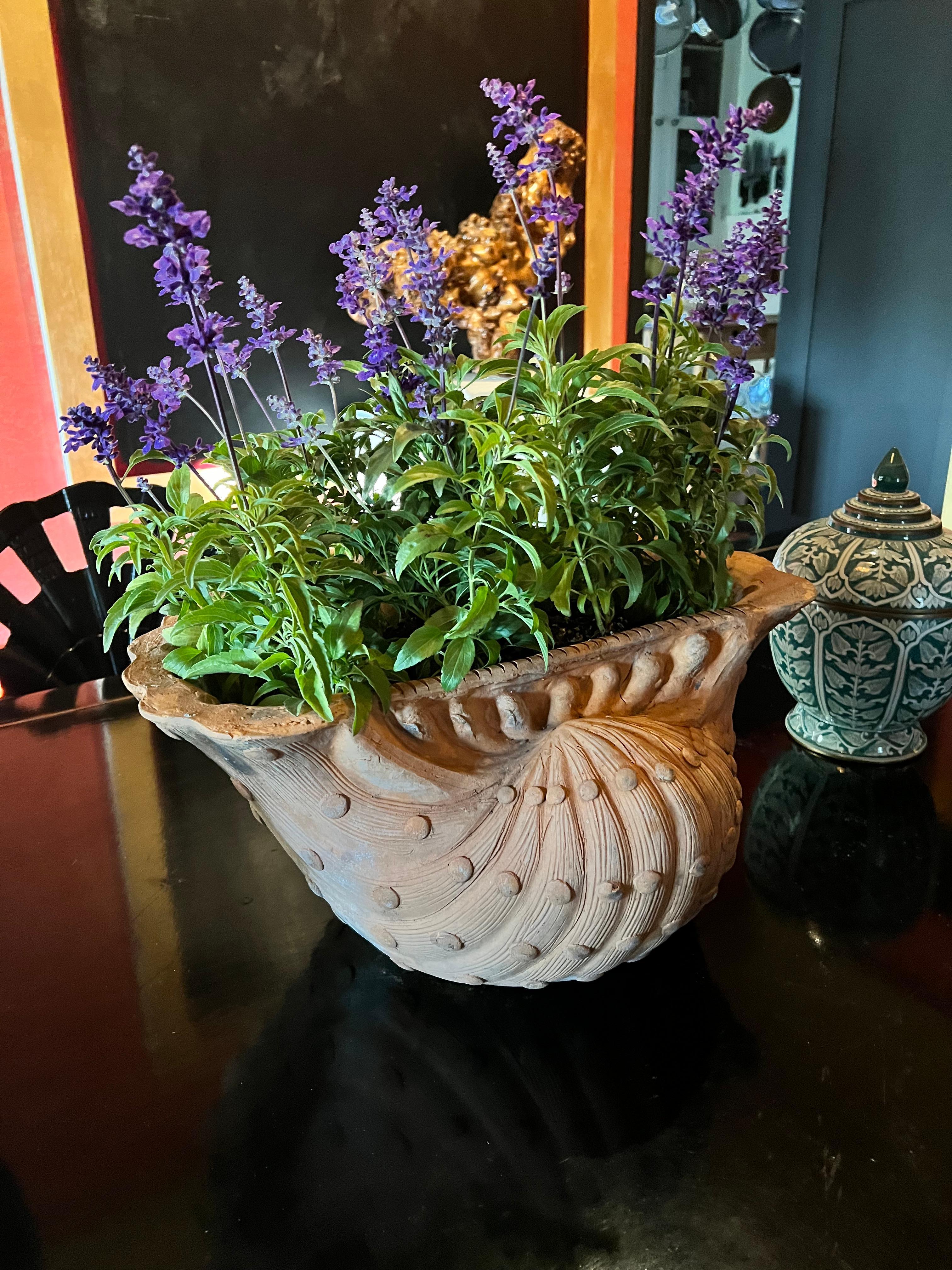 French Terracotta Grotto Shell Shaped Planter or Jardiniere For Sale 2