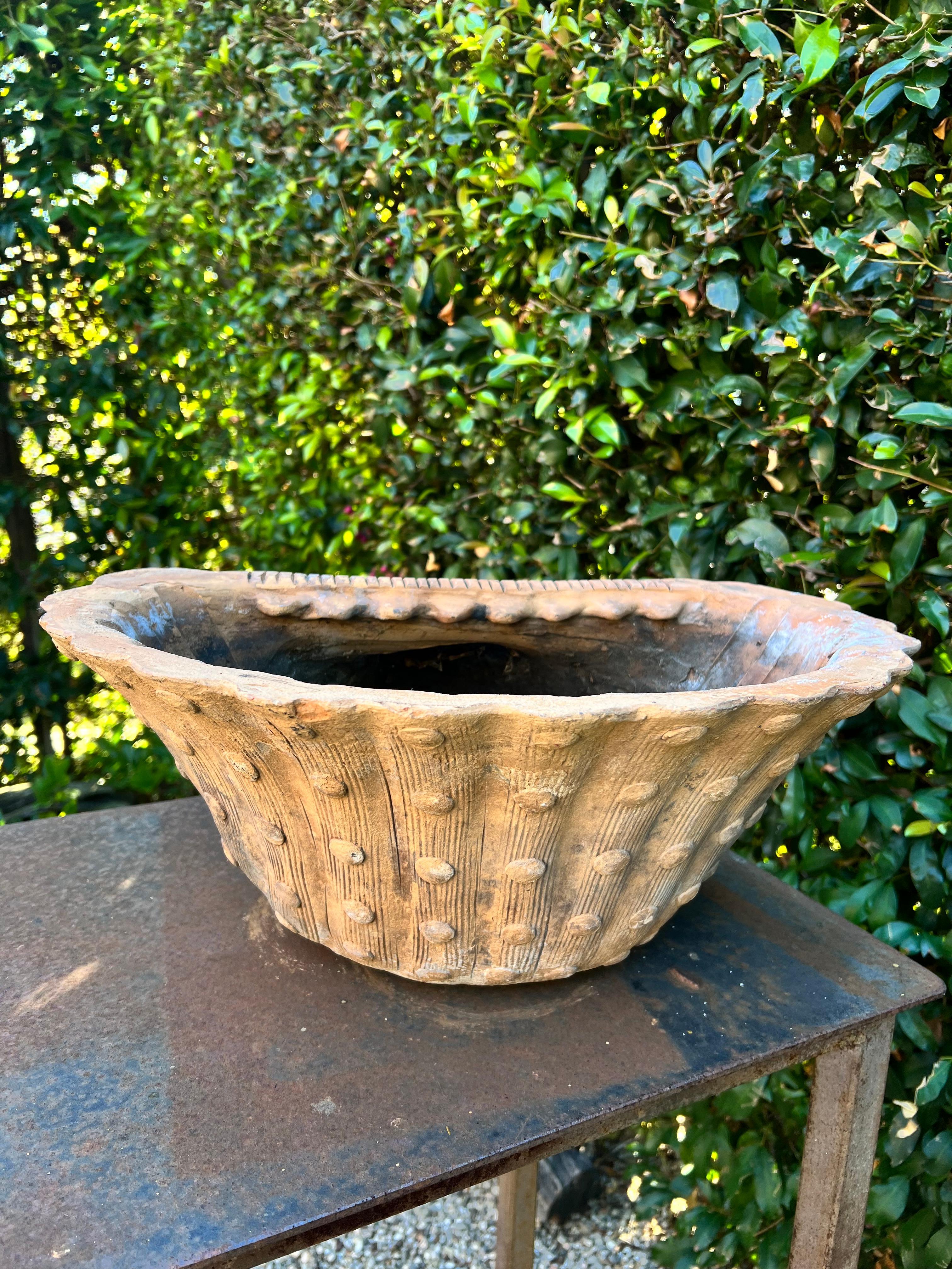 French Terracotta Grotto Shell Shaped Planter or Jardiniere For Sale 4