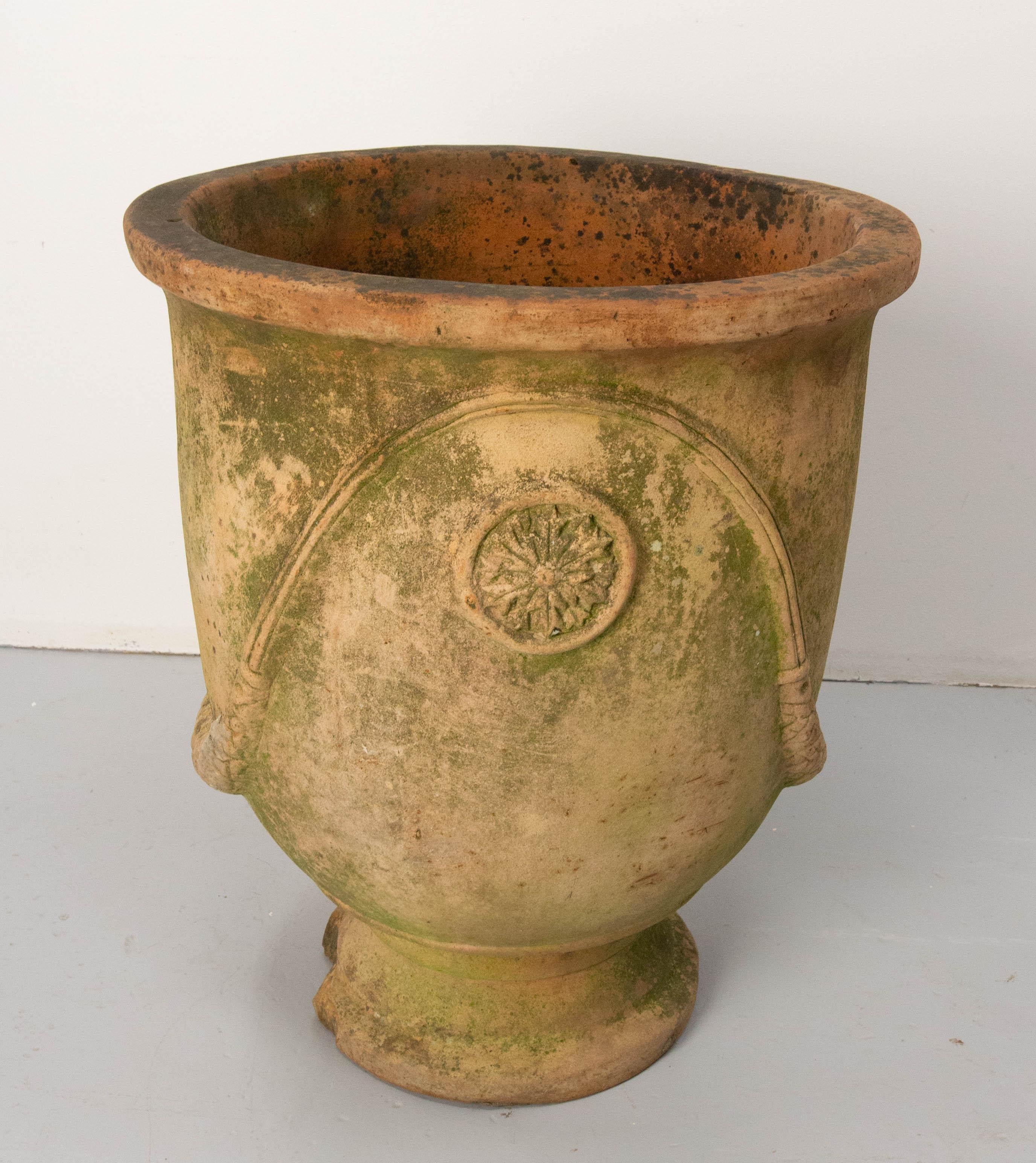 This terracotta planter is made is the Anduze style from the Boisset brothers manufacture. 
This type of vase has been made by the Boisset family at Anduze in the South of France for four centuries. A Cévennes potter was inspired by Medicis vases at