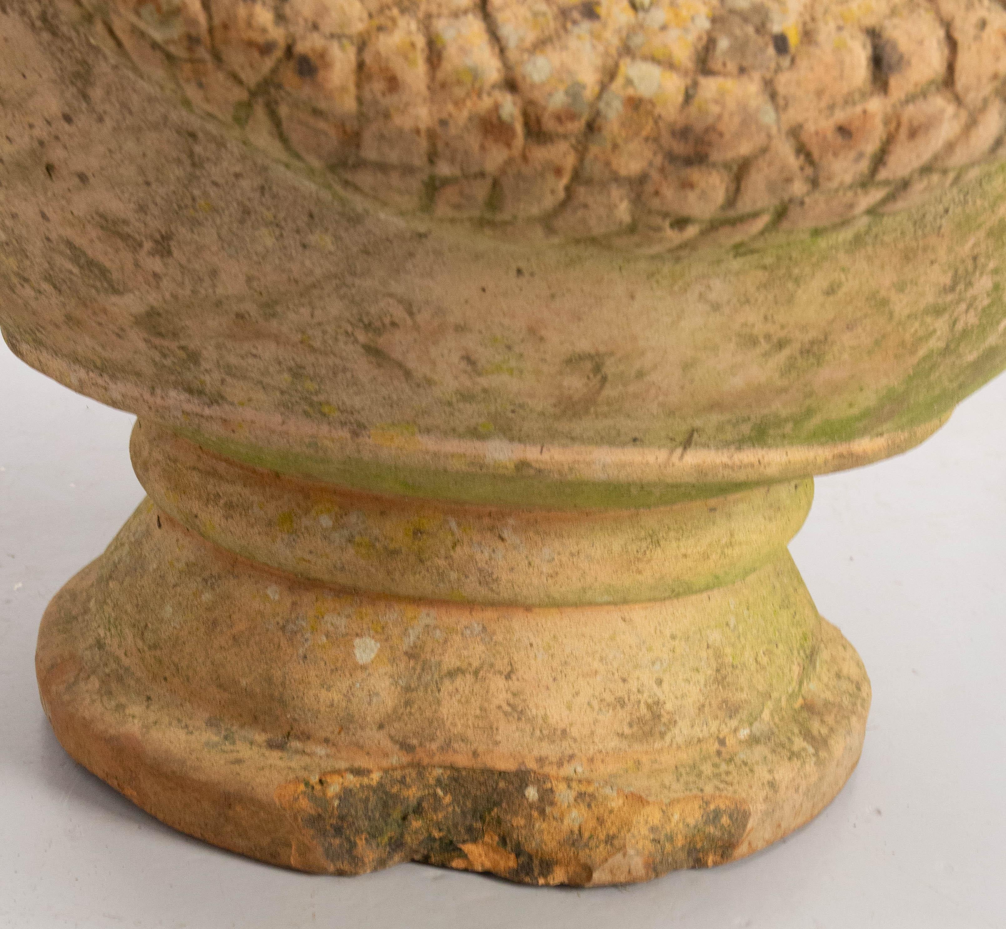 Französische Terrakotta-Terrakotta-Vase, große Vase, Pflanzgefäß, Anduze-Stil, Garten, 20. Jahrhundert im Angebot 4
