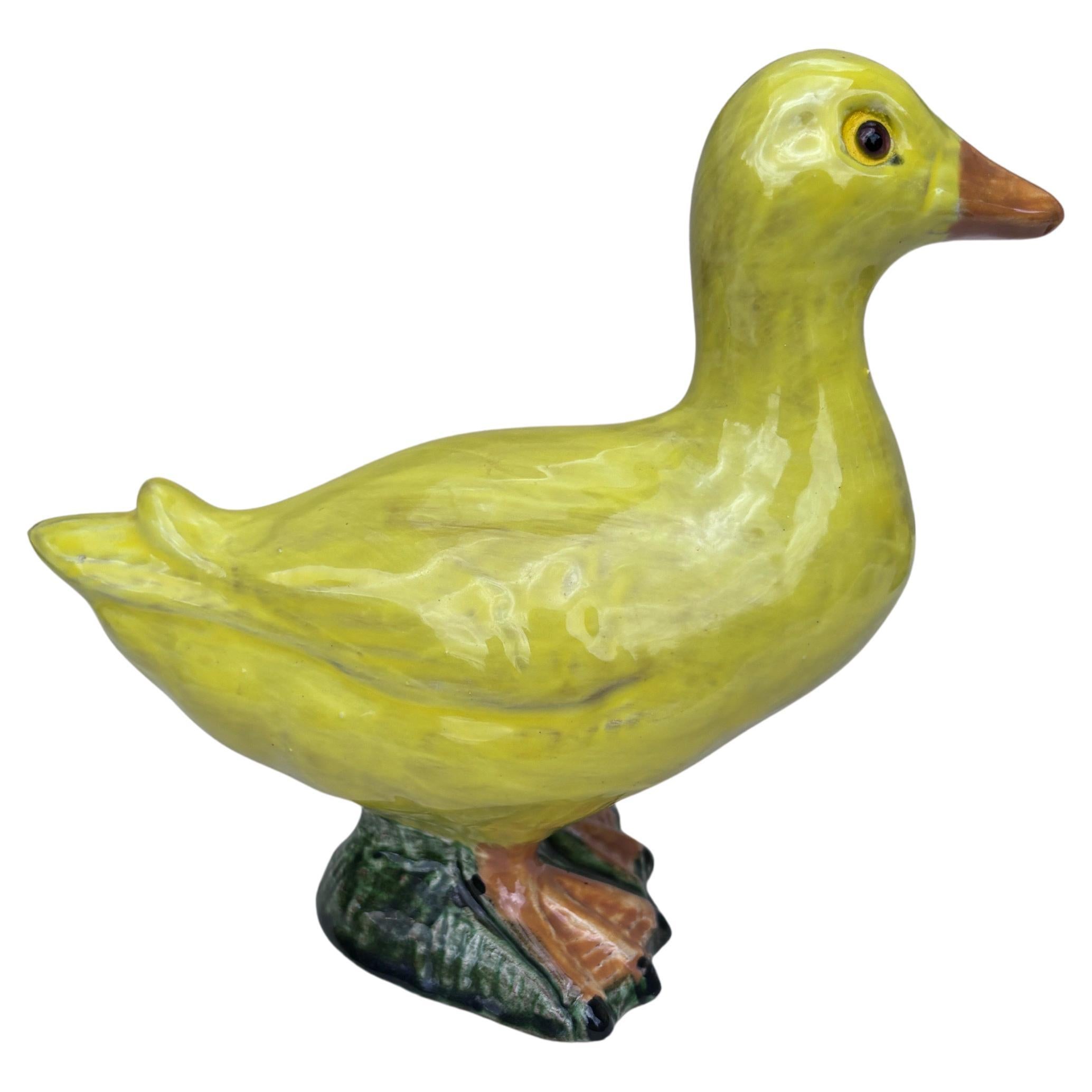 Francese Anatra in terracotta francese Bavent Normandia in vendita
