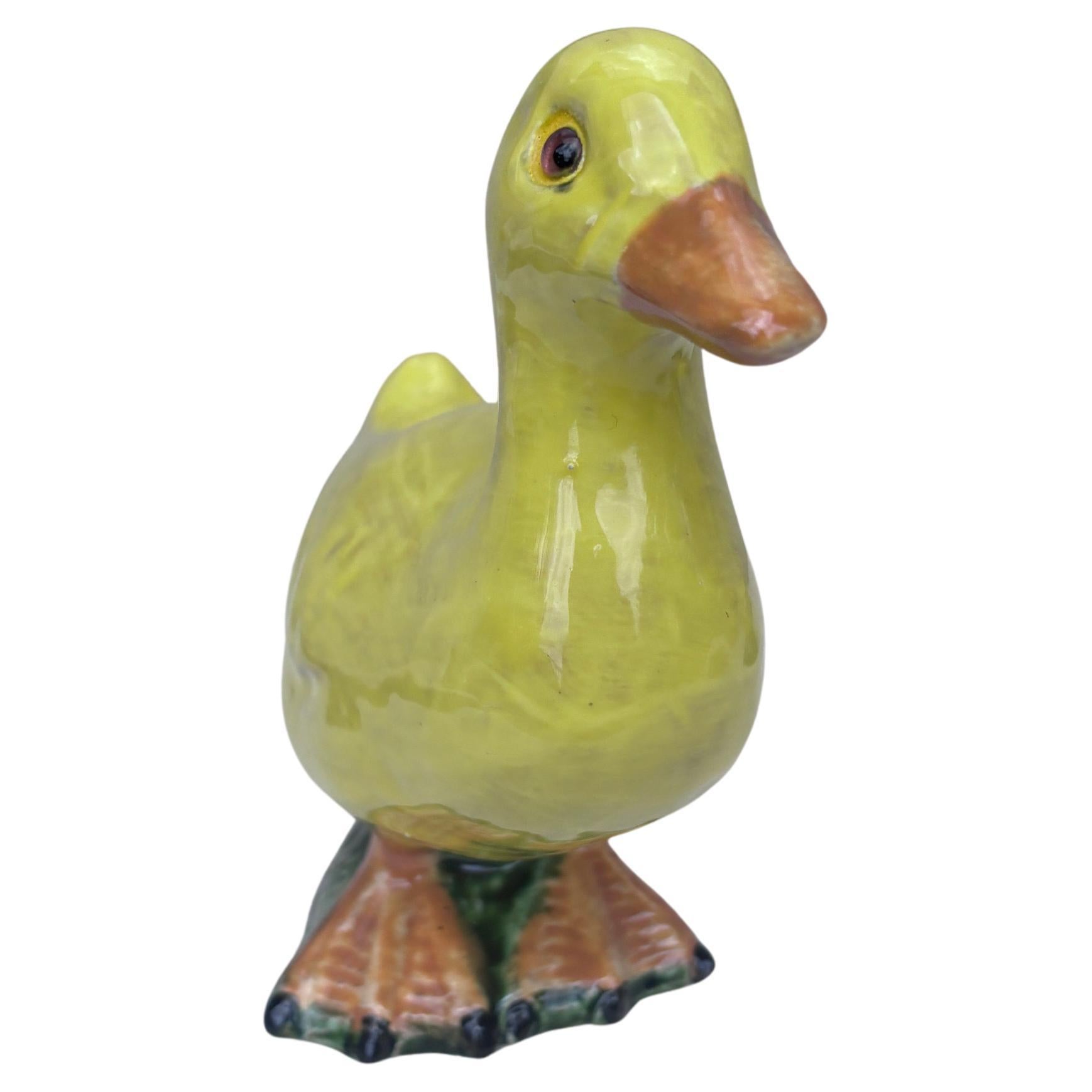 Smaltato Anatra in terracotta francese Bavent Normandia in vendita