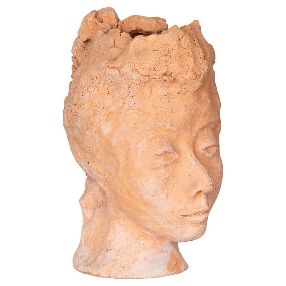 French Terracotta Bust of a Satyr For Sale at 1stDibs