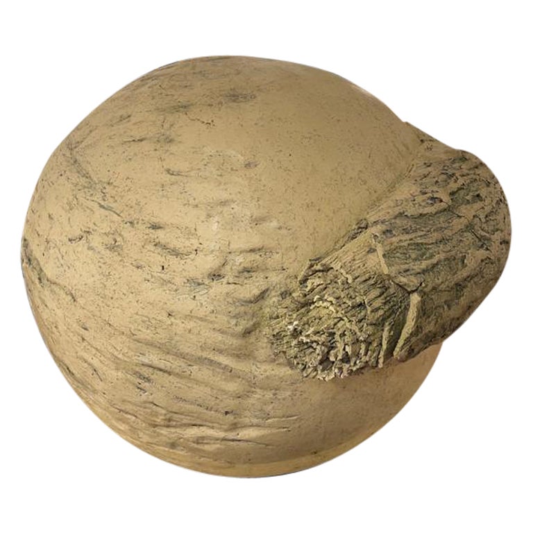 French Terracotta Sculpture, circa 1960s